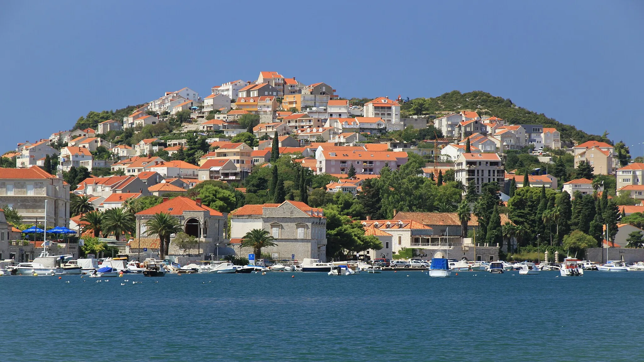 Photo showing: Houses in Lapad district seen from the main port. Dubrovnik, Dubrovnik-Neretva County, Croatia.