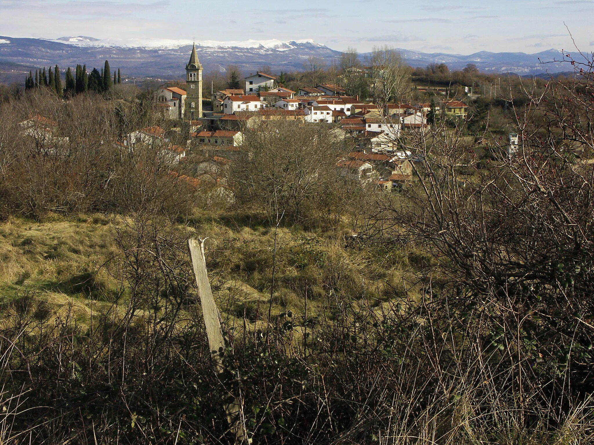 Photo showing: Pomjan