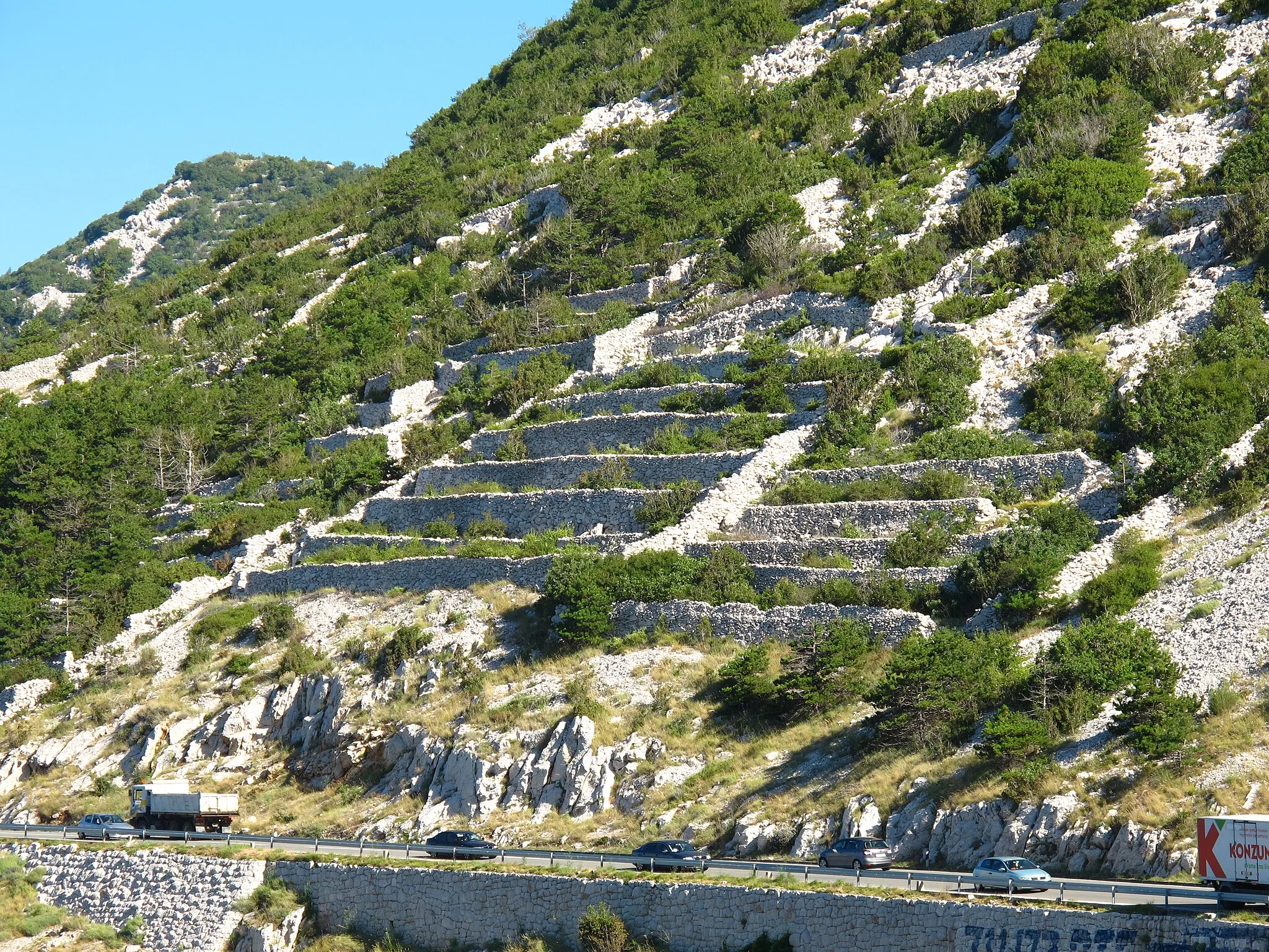 Photo showing: Fields, built in terraces, with walls of stone near the village of Bakarac in Bay of Bakar / Croatia / Adriatic Sea. Below goes by the street Adriatic Highway (Adriatic coastal road).
