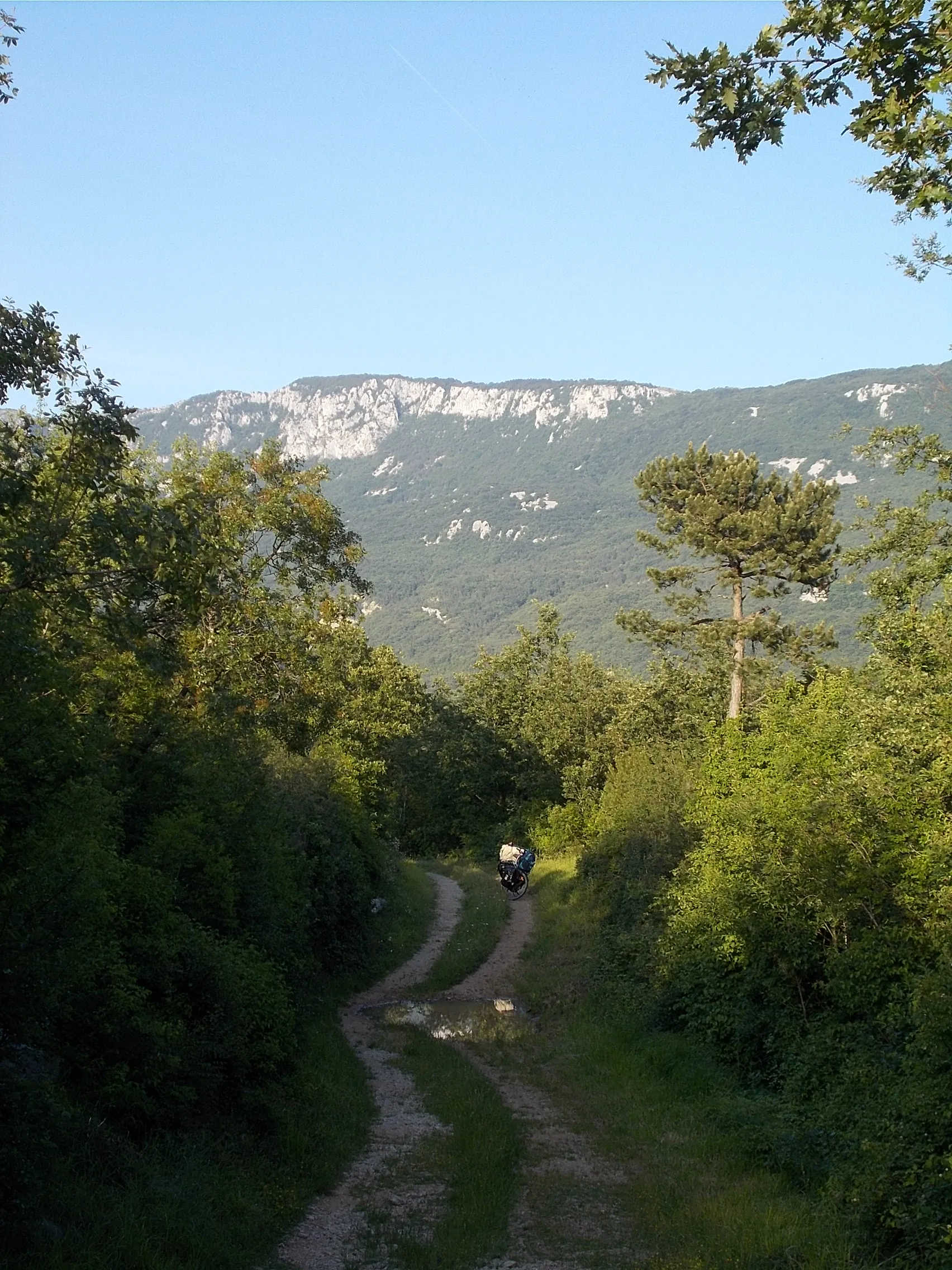 Photo showing: Kršan - erdő Vozilići közelében (a D64-es utat Matijašićivel összekötő út)