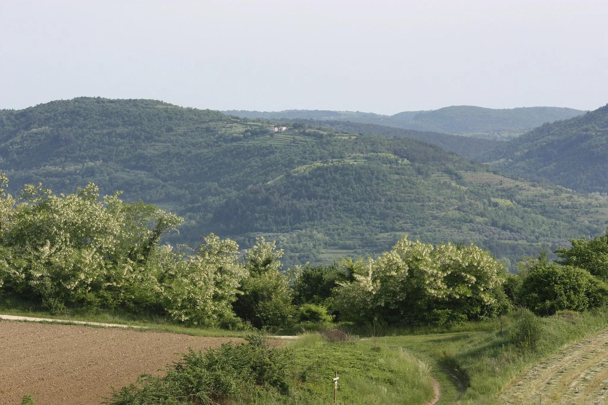 Photo showing: Vižinada, landscape