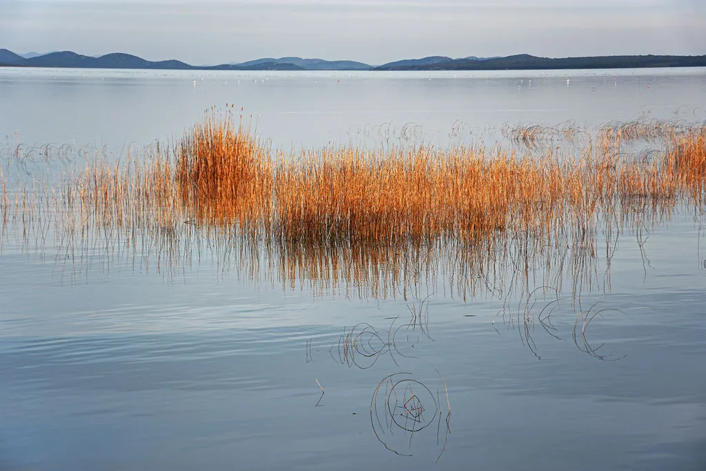 Photo showing: Lake Vrana, ornitological parc