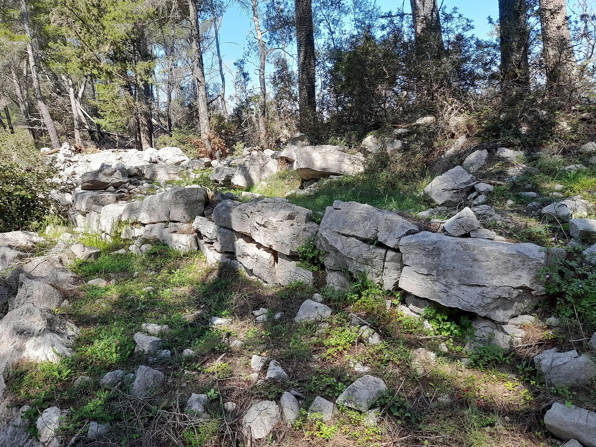 Photo showing: Illyrian ruins, Gračišće, island of Hvar