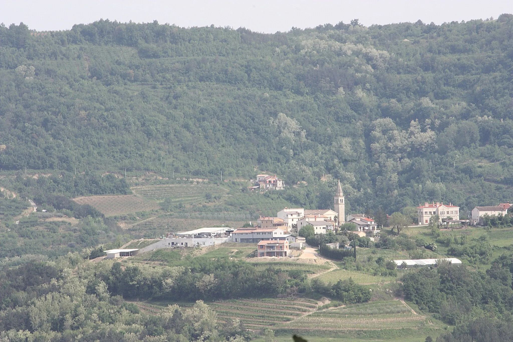 Photo showing: Motovun, view to the church of Kaldir