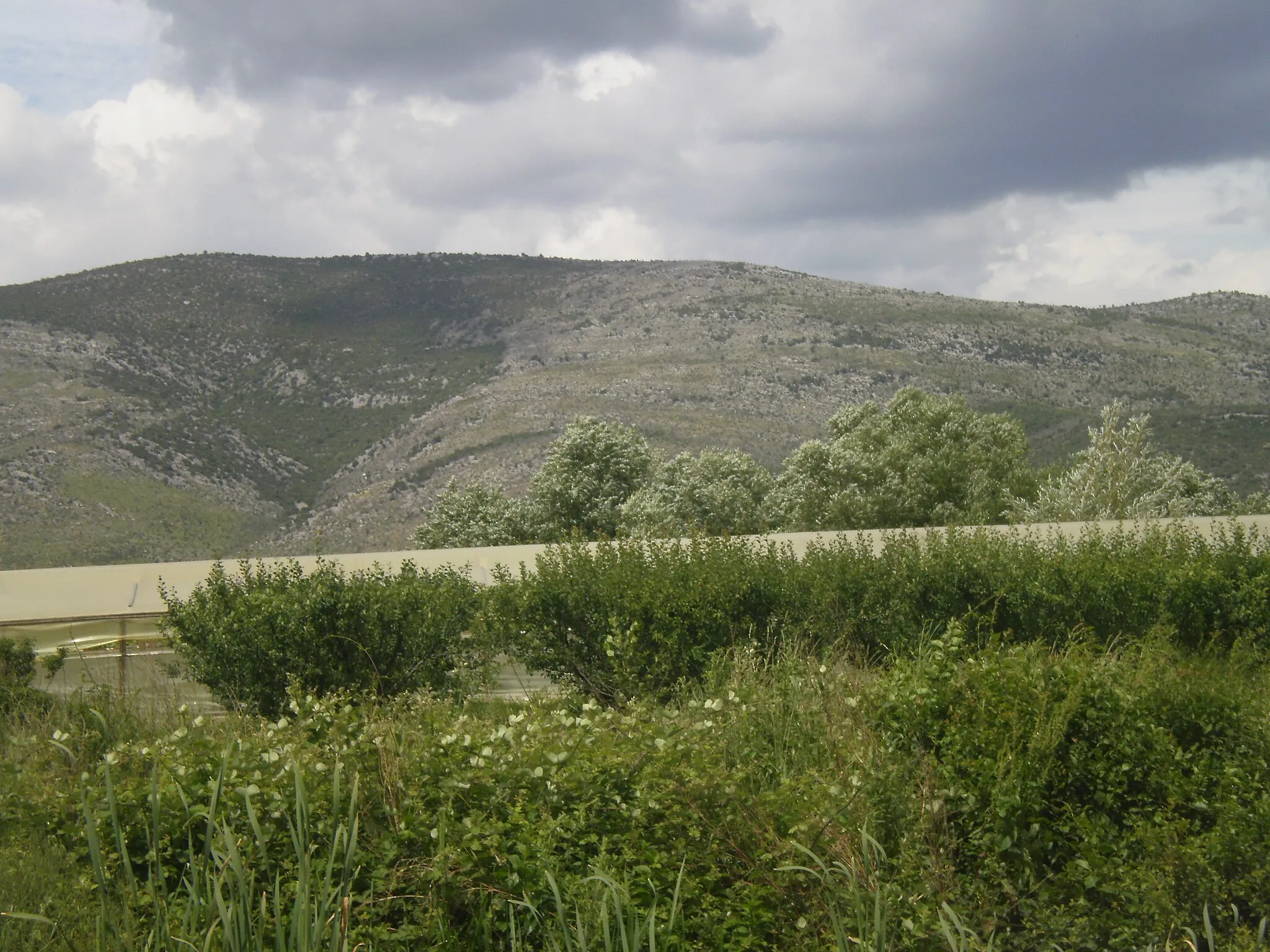 Photo showing: Hill above Brdo iznad Gabela Polje