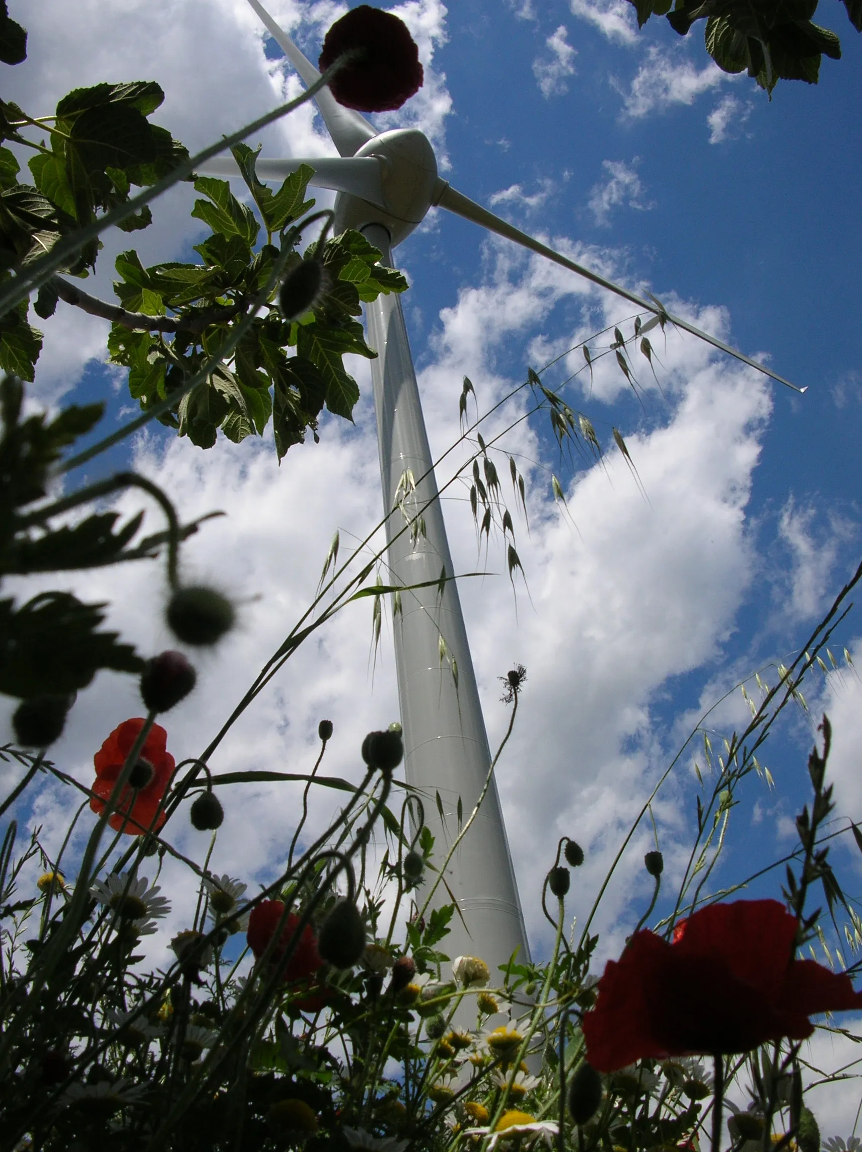 Photo showing: One of the four ENERCON E48 Wind Energy Converters (WECs) of the Tocco Da Casauria wind farm in Italy, near Pescara. This wind farm was the subject of a first page article on the New York Times (September 2010), and considered an example of perfect integration with the community and the environmental sensitivities of a small medieval village in Central Italy. Thanks to revenues from the wind farm, the village could buy and restore the ruins of the local castle. The wind farm has been built and is still managed by SOLO RINNOVABILI SRL, a company from Brescia (Italy).