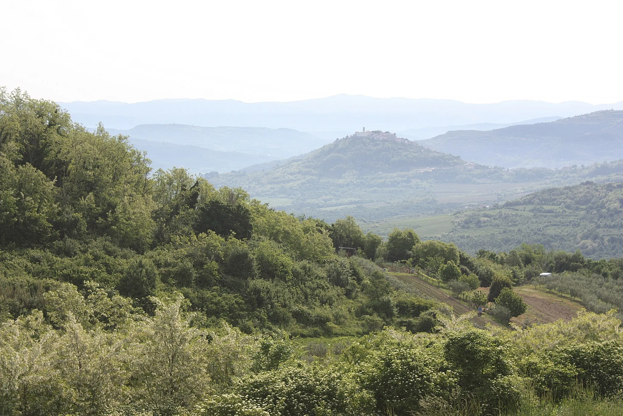 Photo showing: Vižinada, landscape