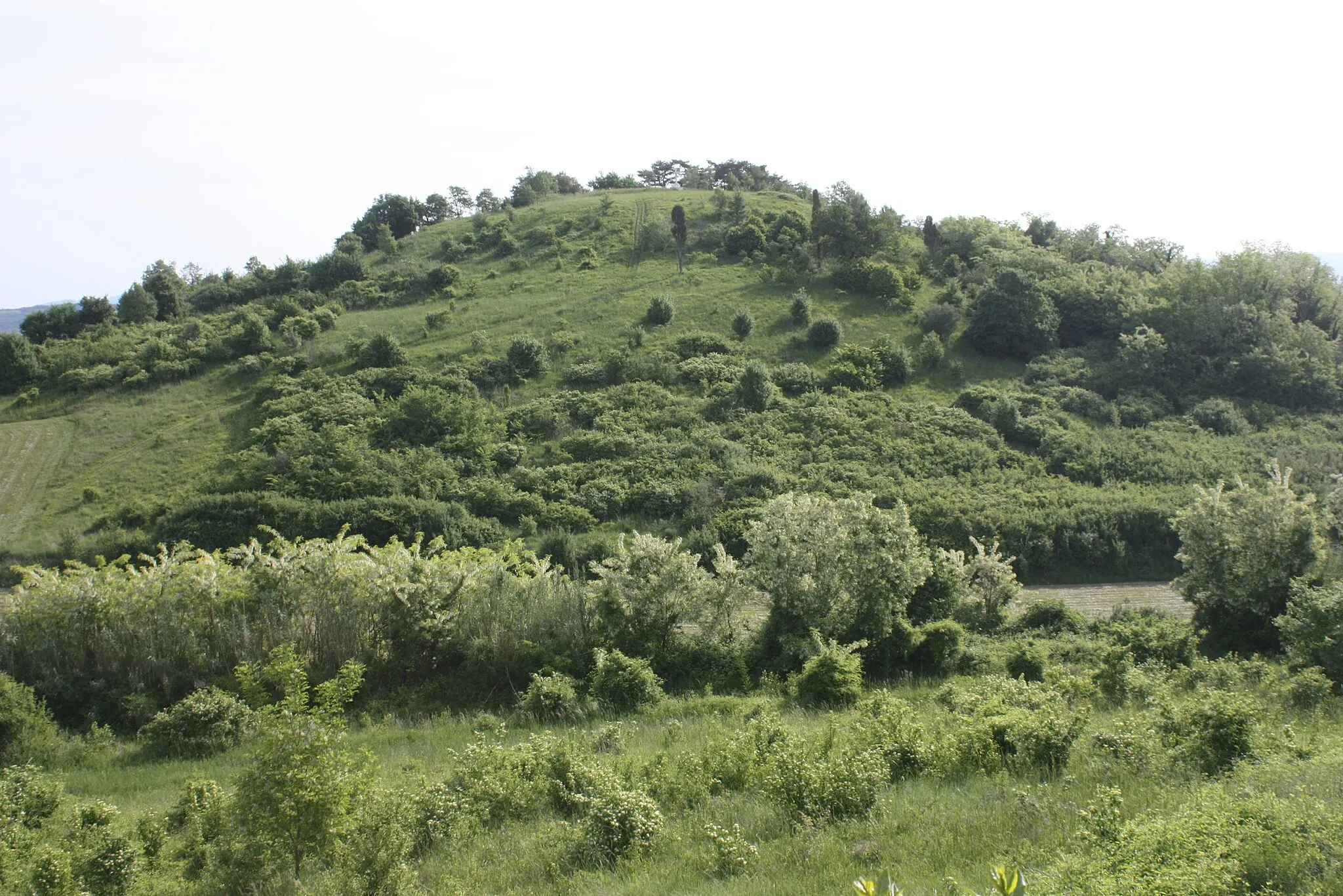 Photo showing: Vižinada, a hill
