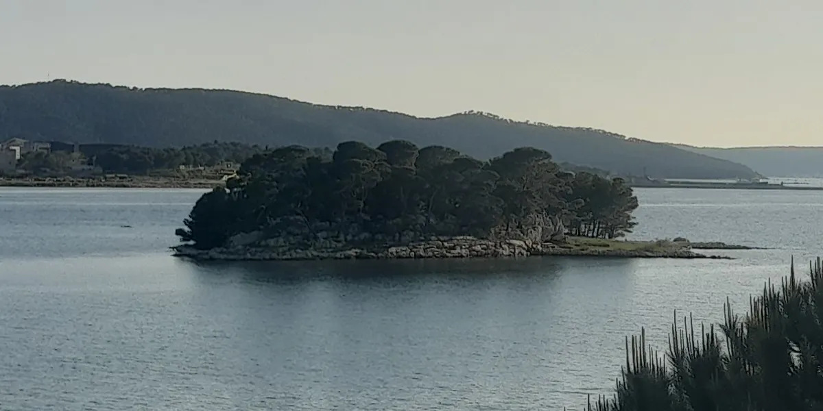 Photo showing: Barbarinac island