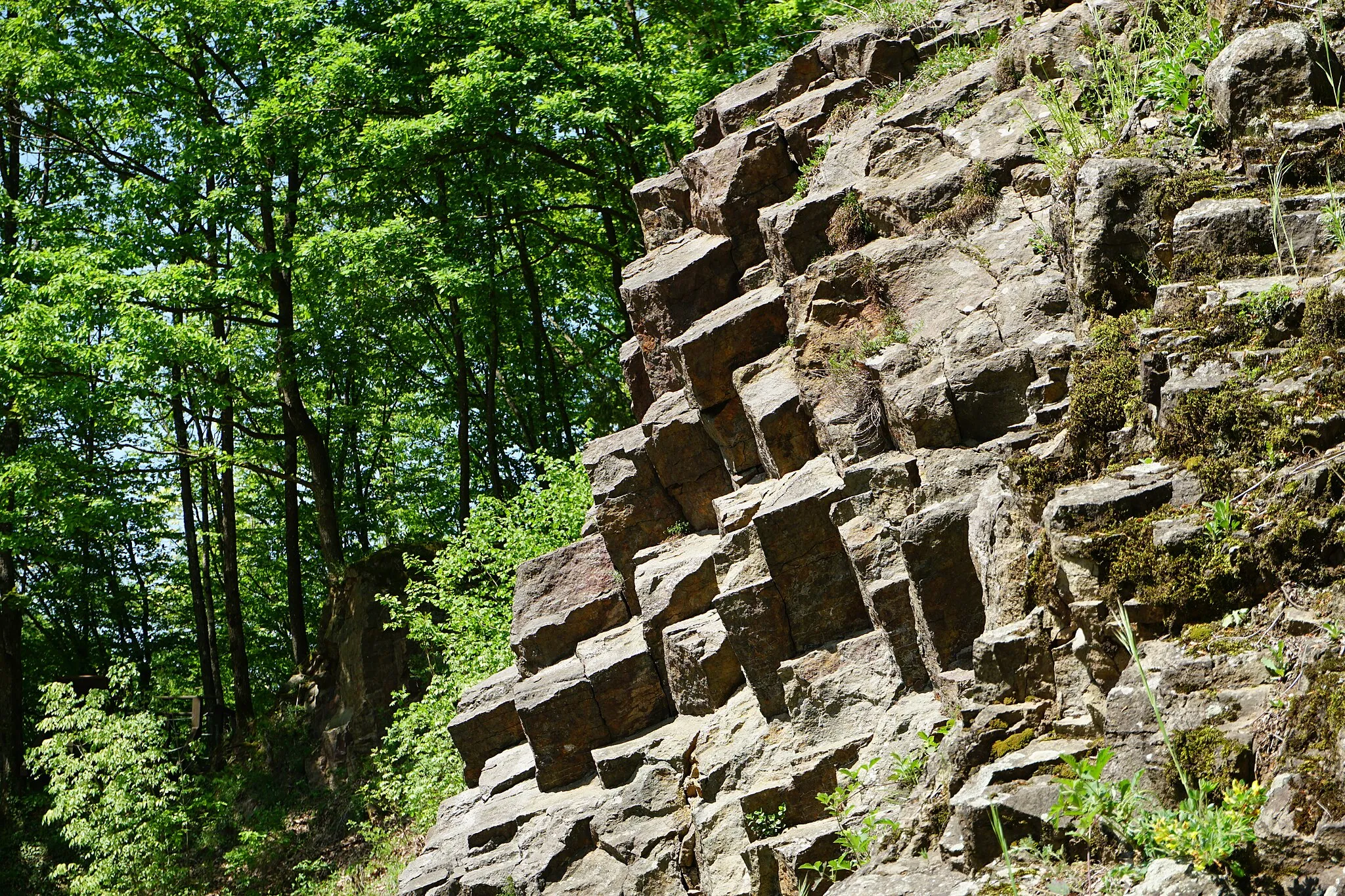 Photo showing: This is an image of the Biosphere Reserve or a Geopark: