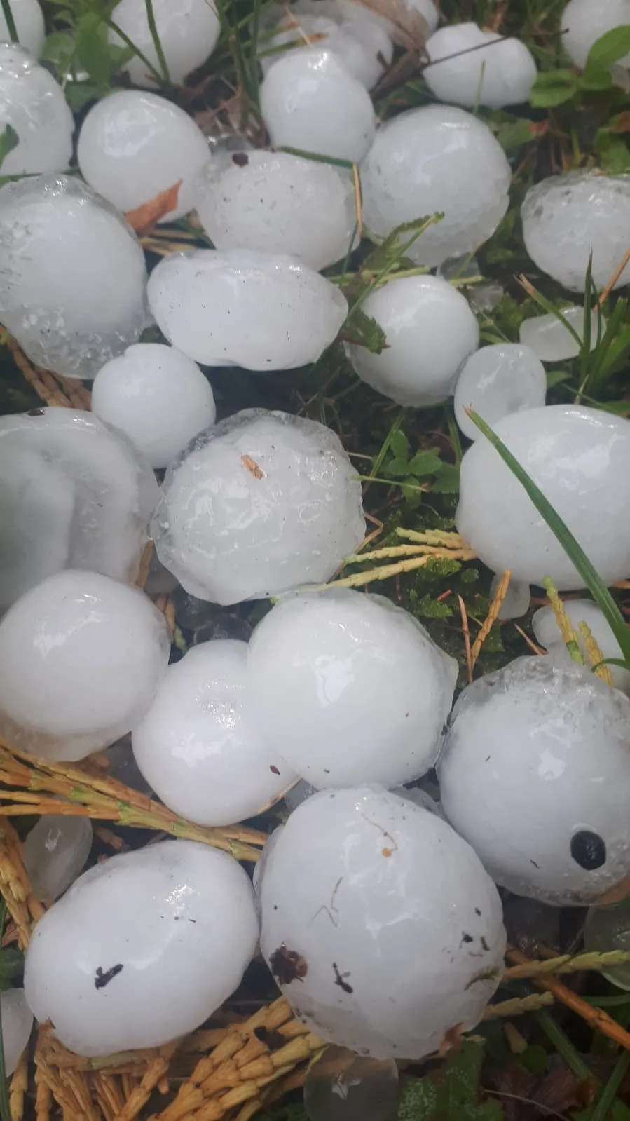 Photo showing: Exapmles of hail, as photographed in Požega, June 25th 2021. The intense hail storm produced individual pieces of hail ranging from 1 to 8 cm.