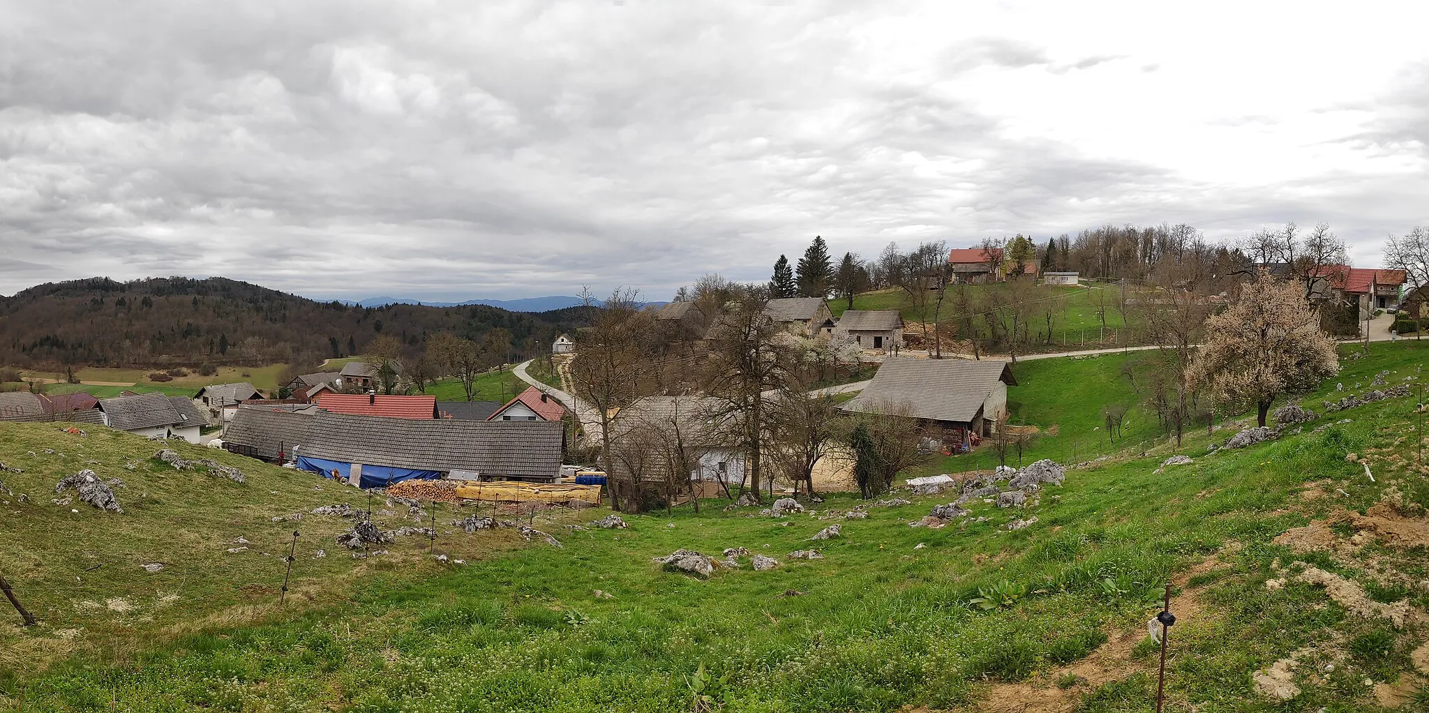 Photo showing: Dolenji Suhadol (limestone soil, Gorjanci), Slovenia