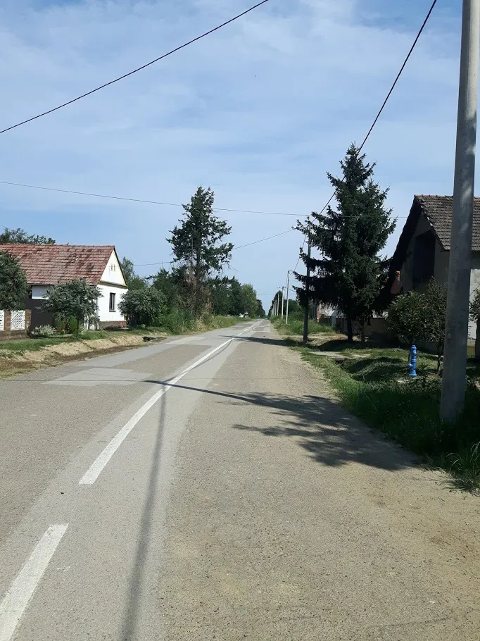 Photo showing: A view of the main road in Karadzicevo.