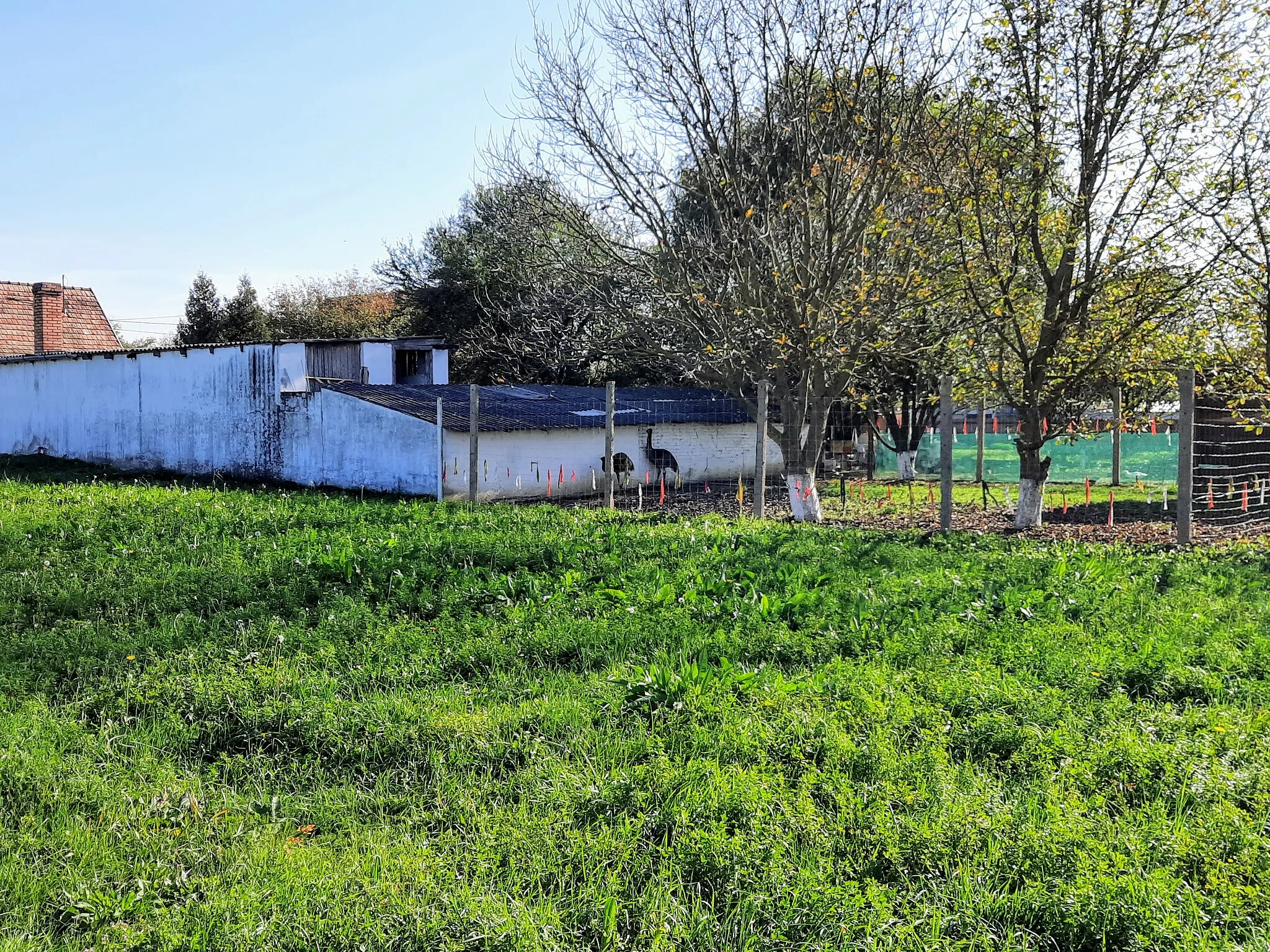 Photo showing: Tésenfa, emuk az egyik háznál