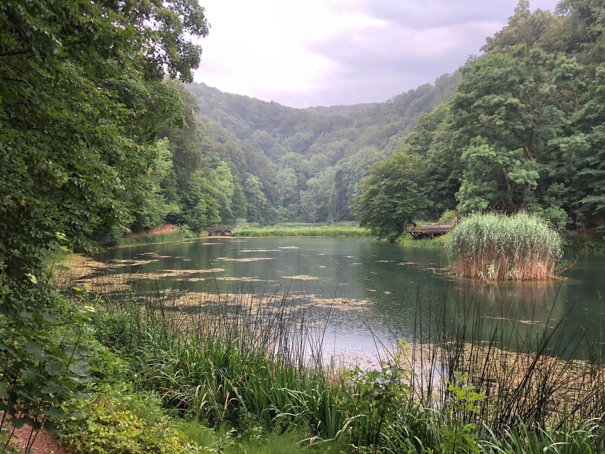 Photo showing: The lake at Jankovac, on Papuk mountain