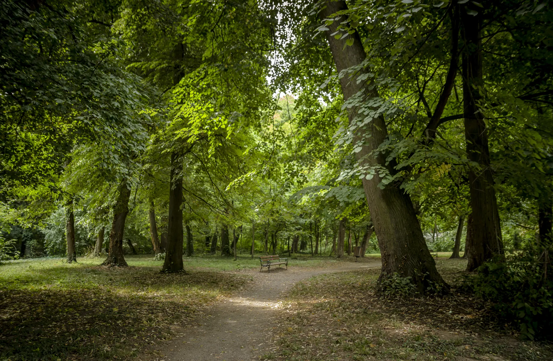 Photo showing: Park in Valpovo