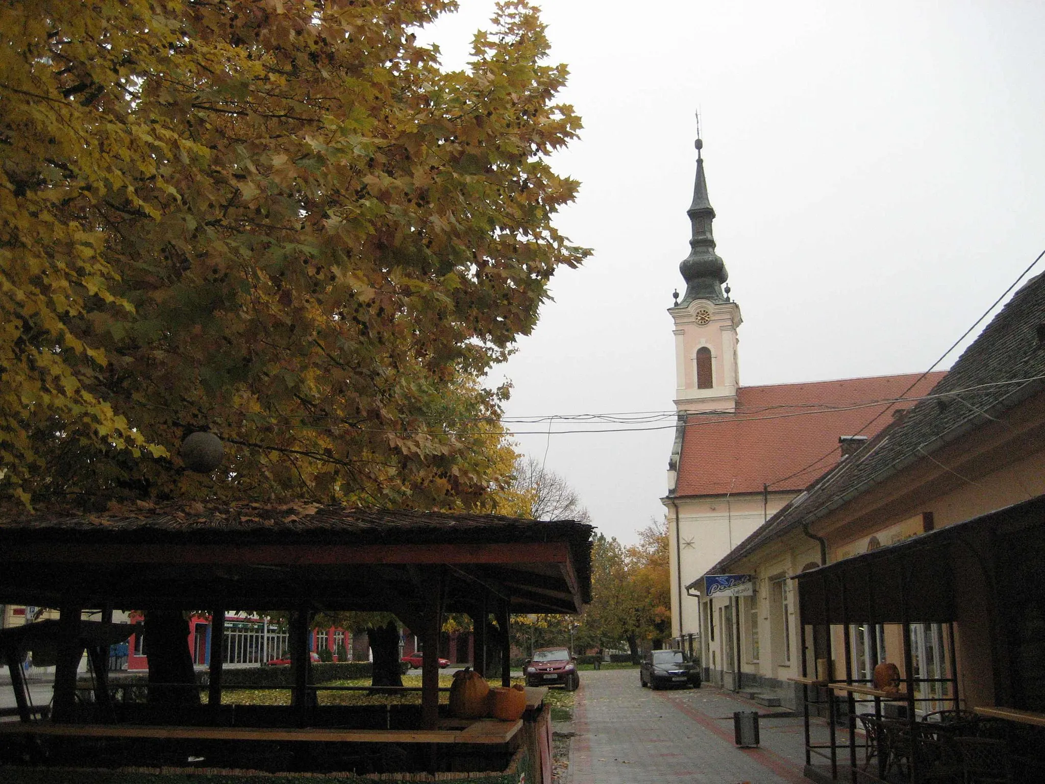 Photo showing: Zupanja:In the morning after a halloween party