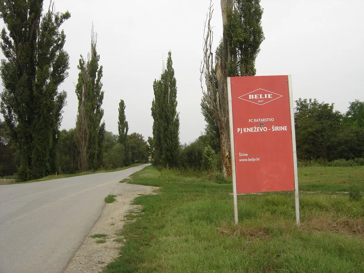 Photo showing: Lokalna cesta sh:L44007 na ulazu u sh:Širine, drvored jablanova