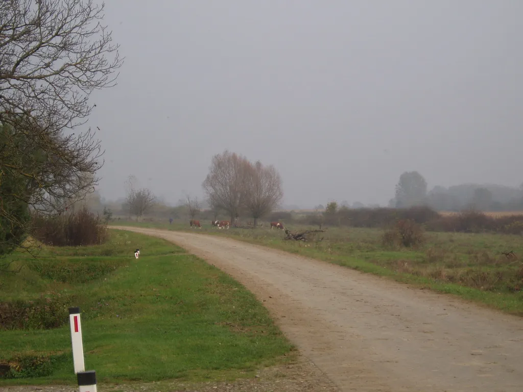 Photo showing: Prnjavor, Rodin kraj