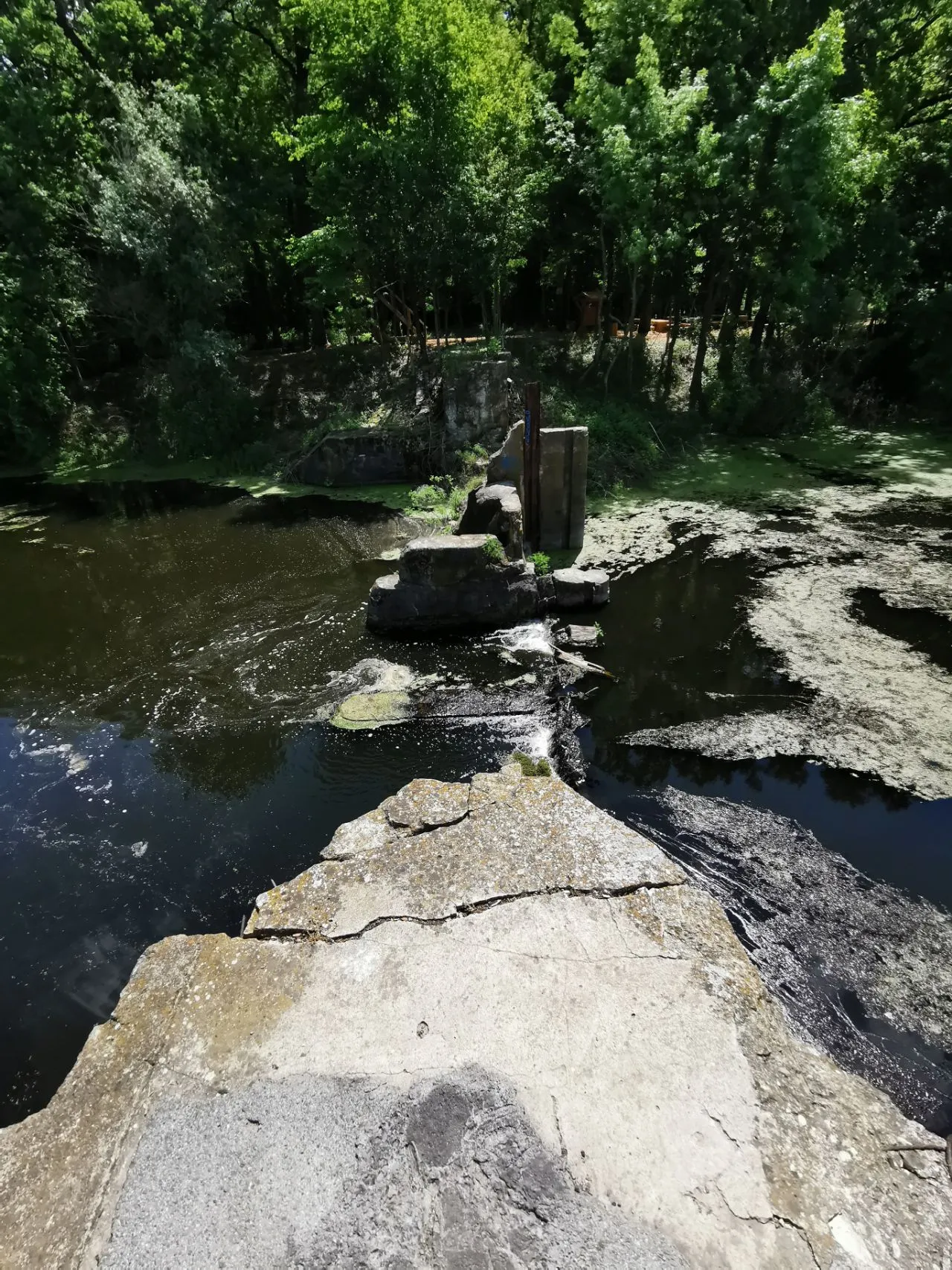 Photo showing: Ruins of old dam in Trbušanci