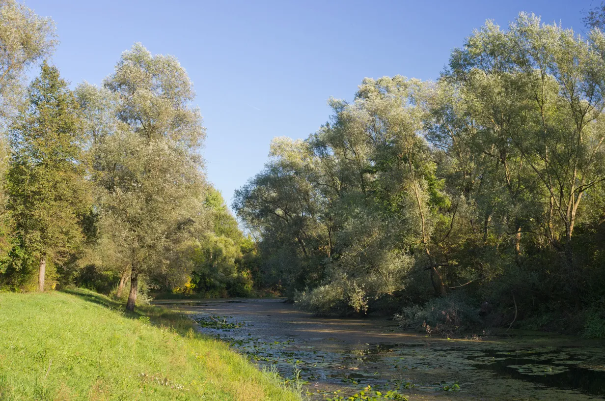 Photo showing: River Odra near Cicka Poljana, Croatia