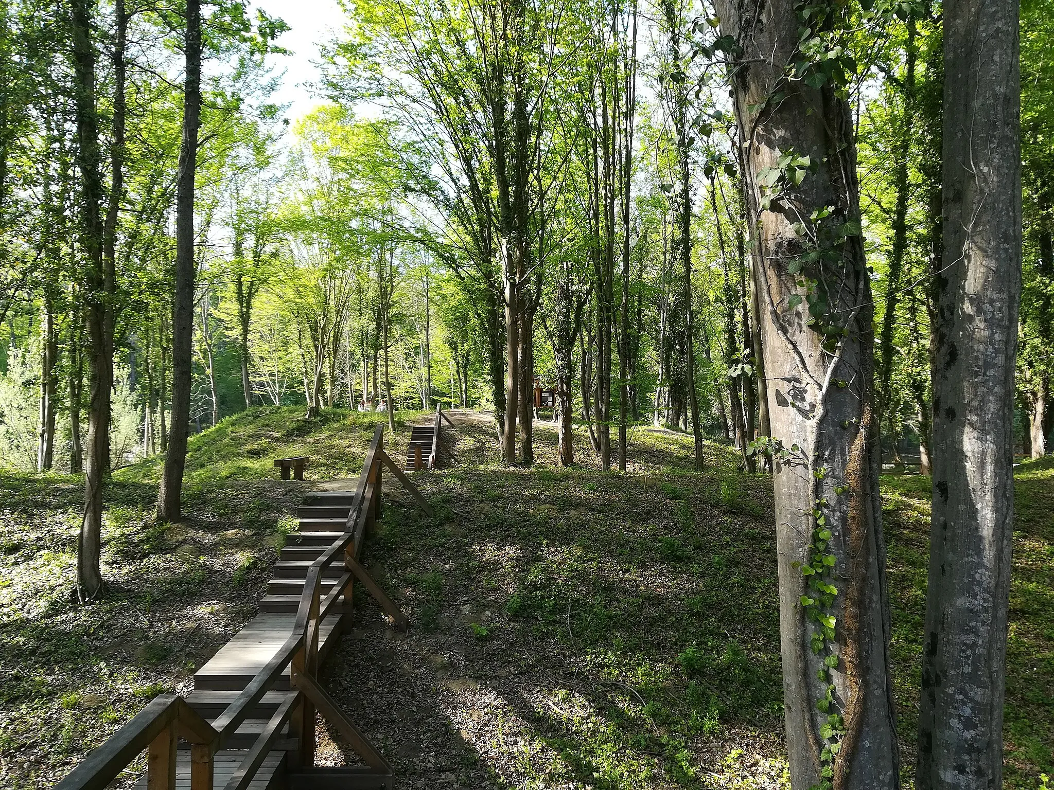 Photo showing: Virgrad - srednjovjekovno arheološko nalazište u blizini Bošnjaka