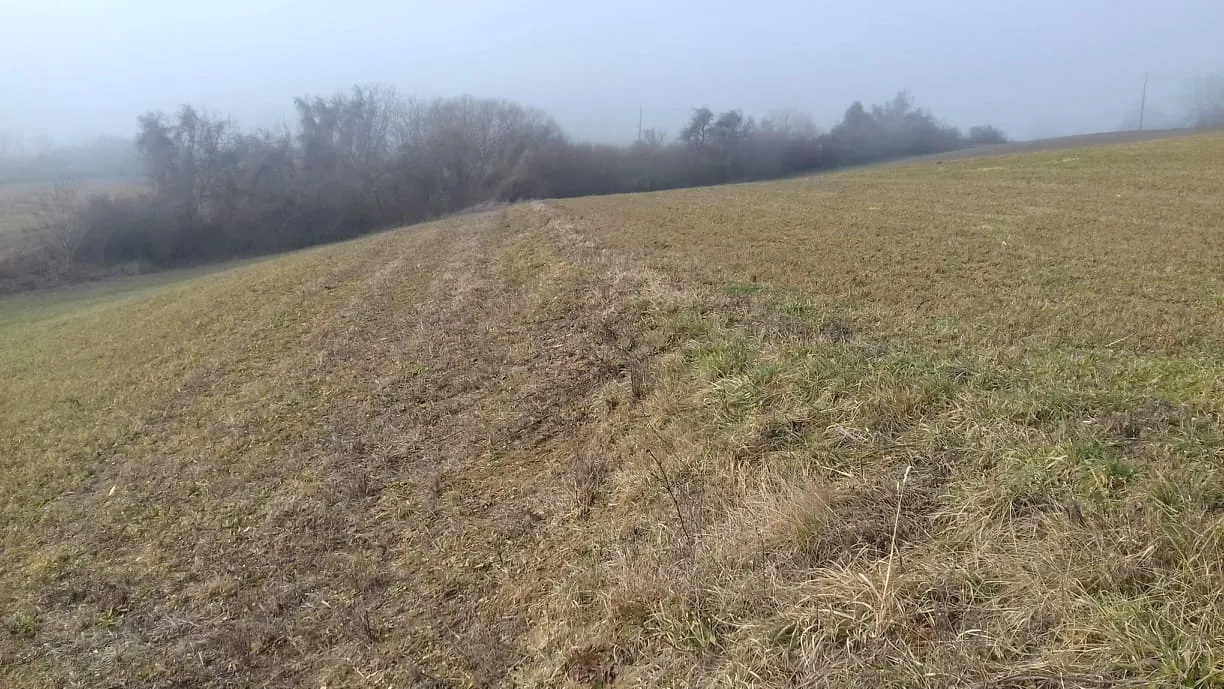 Photo showing: Arheološki lokalitet Gajini, Vojakovački Osijek