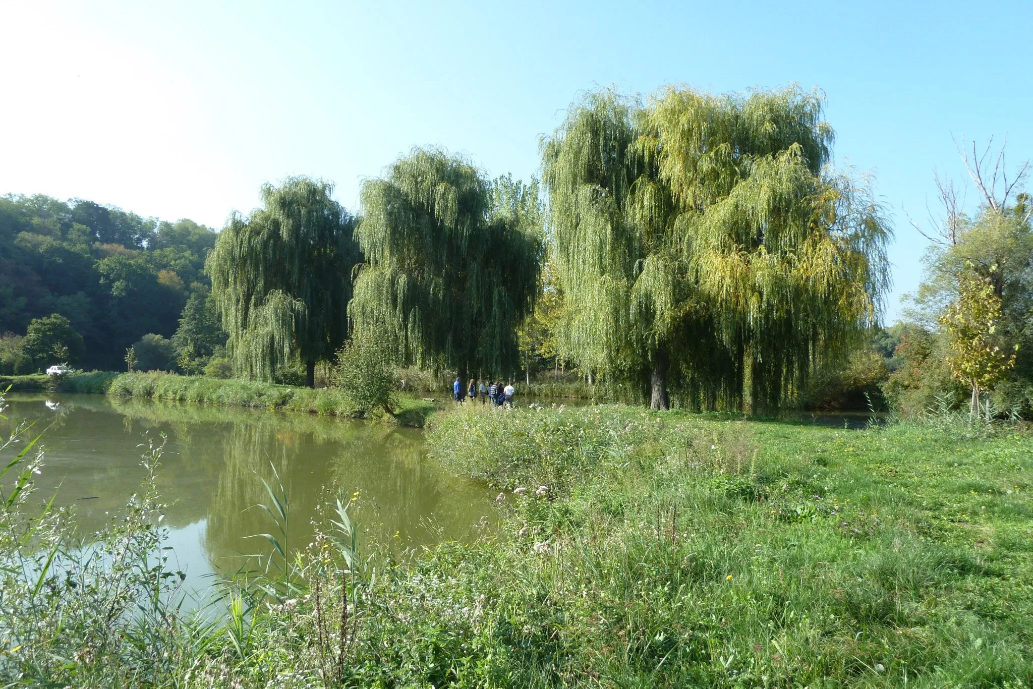 Photo showing: View on fishing home, Ludbreg