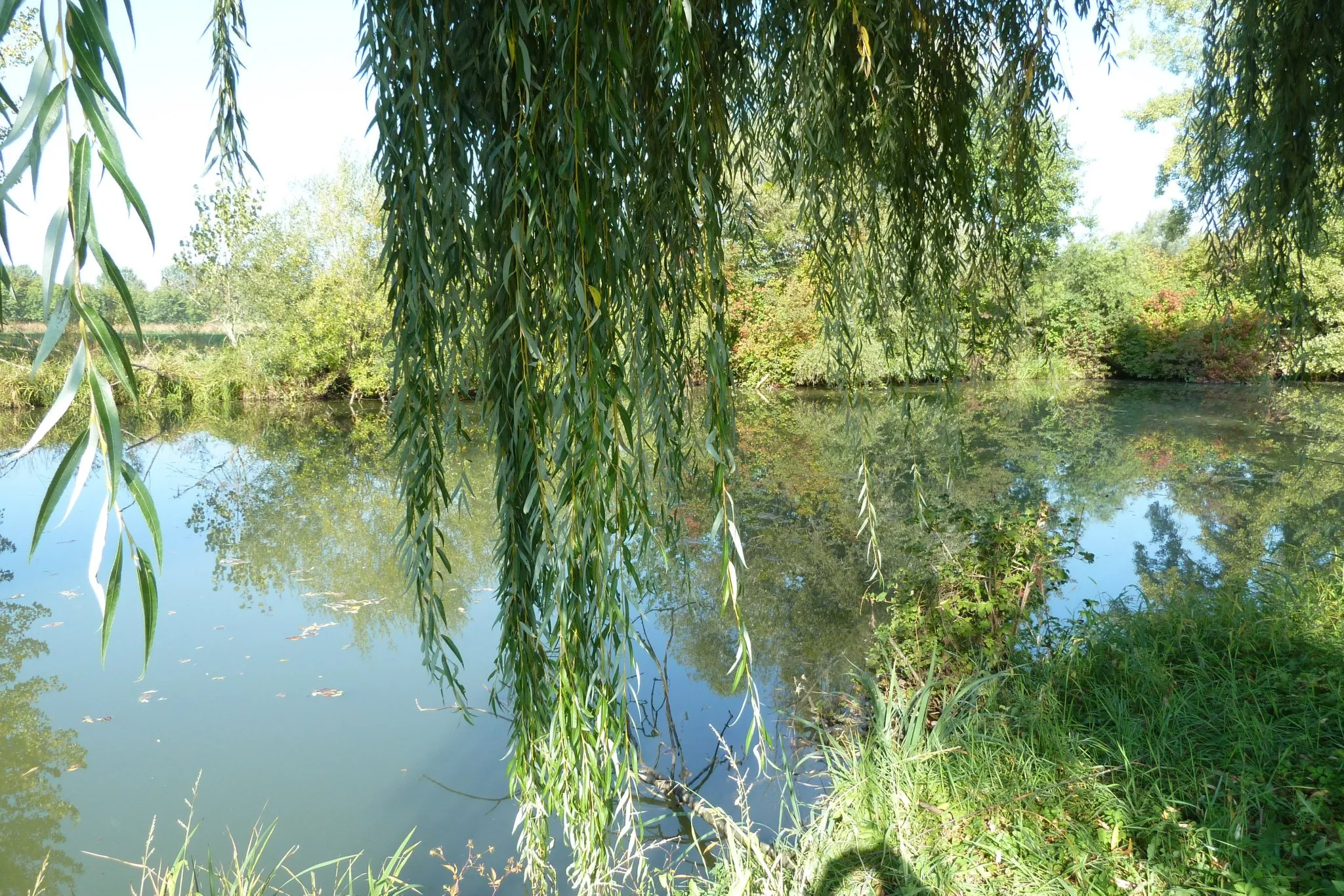 Photo showing: Lake fishing at home, Ludbreg