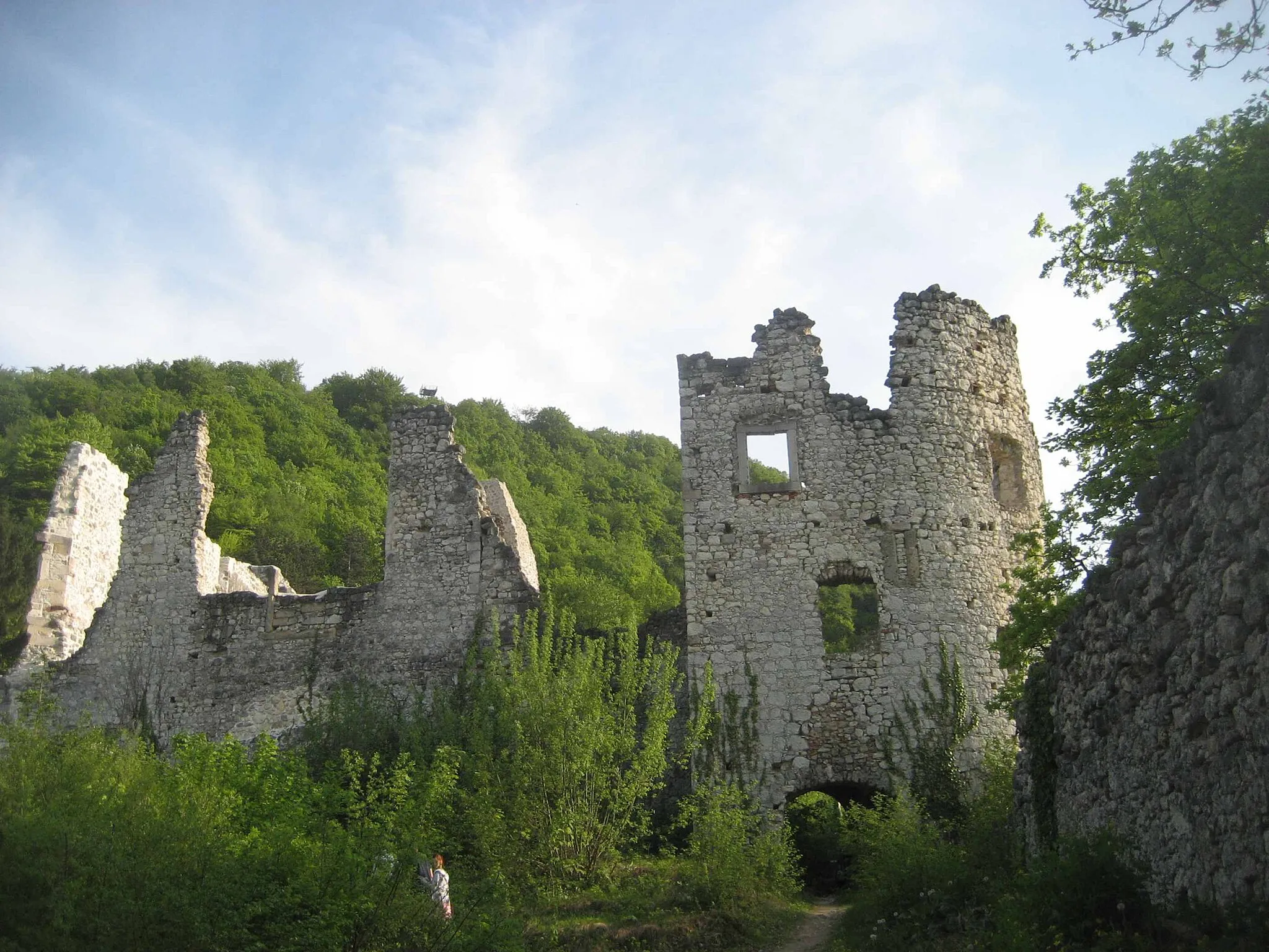 Photo showing: Ruin Samobor Castle