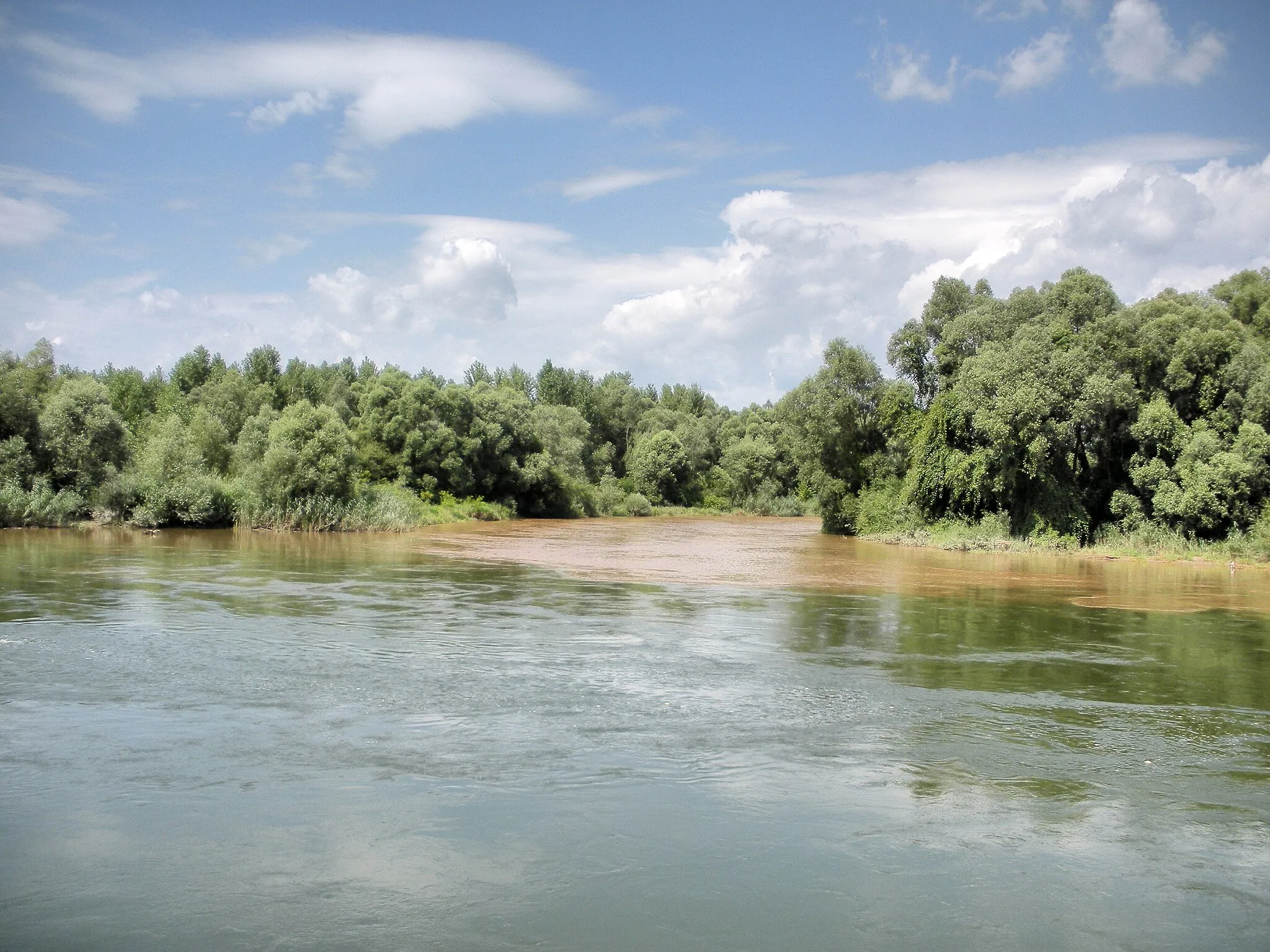 Photo showing: Zusammenfluss von Drau (im Vordergrund) und Mur in der Nähe von Legrad (Kroatien)