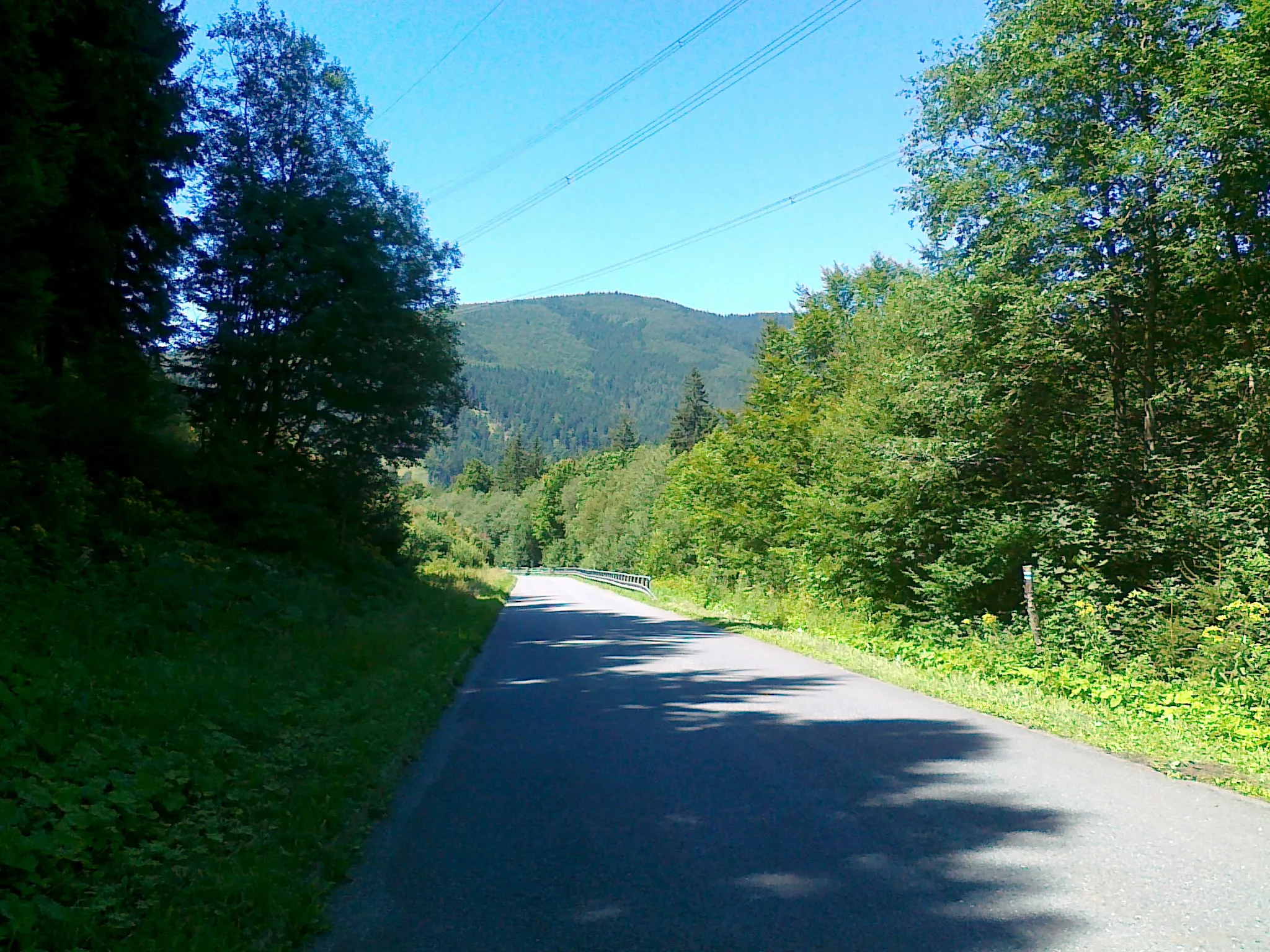 Photo showing: Widok ze scieżki rowerowej nr 6155 w dolinie Divoká Desná w kierunku Suchej hory