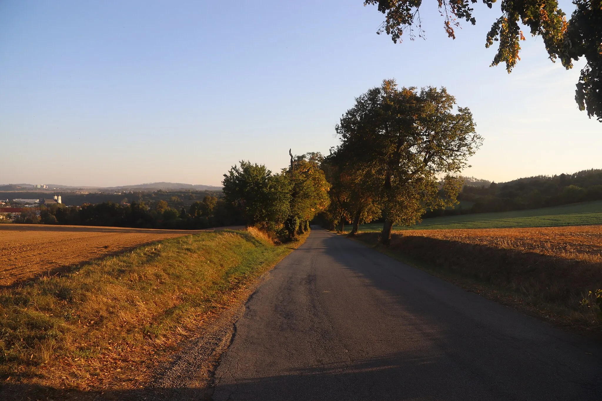 Photo showing: Overview of road III/40510 near Přibyslavice, Třebíč District.