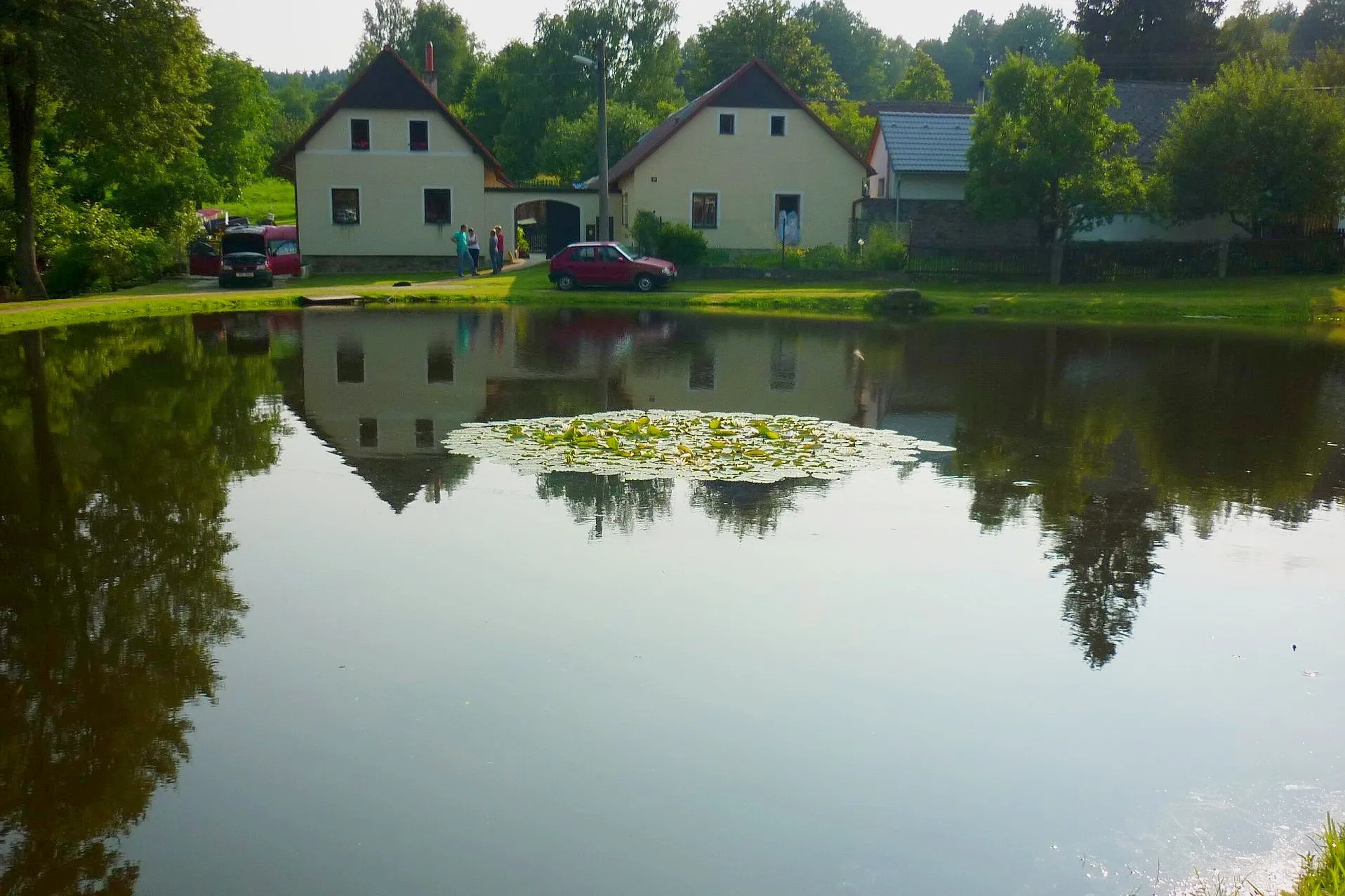 Photo showing: Horní Radíkov - návesní rybník s lekníny