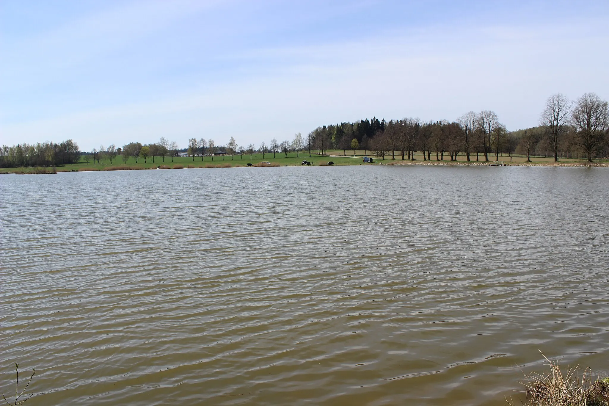 Photo showing: Rybník u Leten, části Dobré Vody.