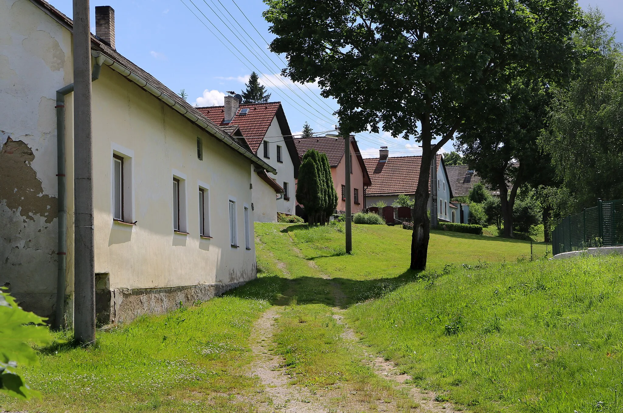 Photo showing: Common in Beranovec, part of Suchá, Czech Republic.
