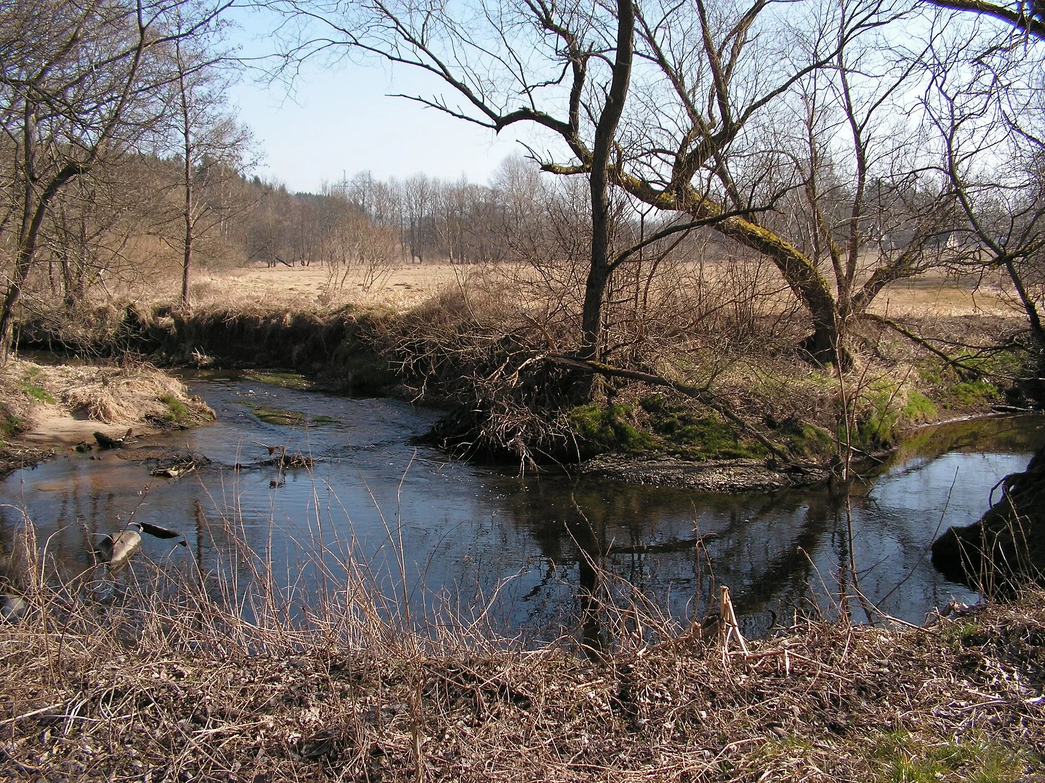 Photo showing: Meandr Chrudimky nedaleko Královy Pily v okrese Chrudim