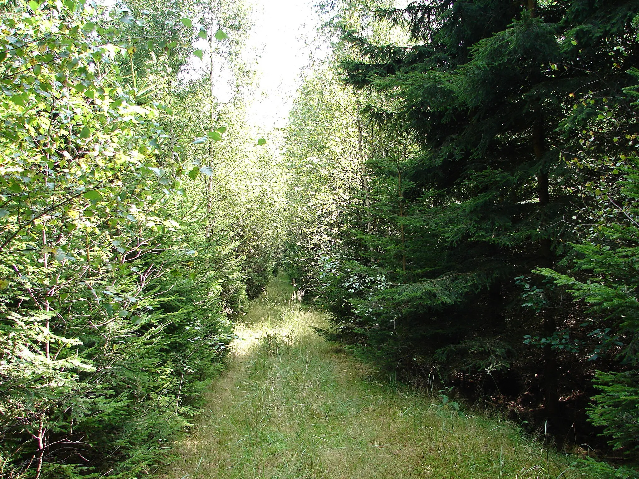 Photo showing: Natural monument Lukšovská, Jihlava District, Czech republic.