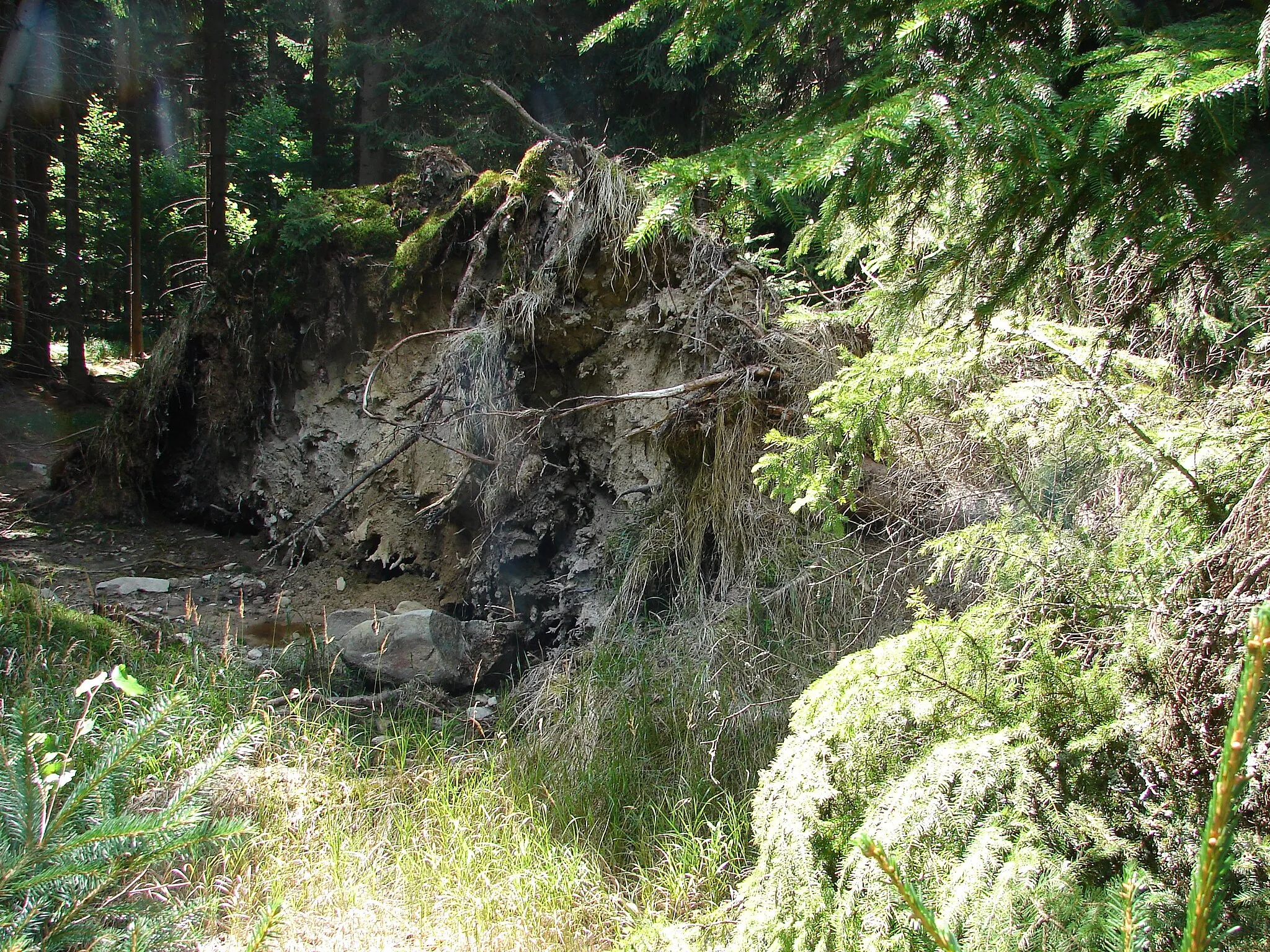 Photo showing: Natural monument Lukšovská, Jihlava District, Czech republic.