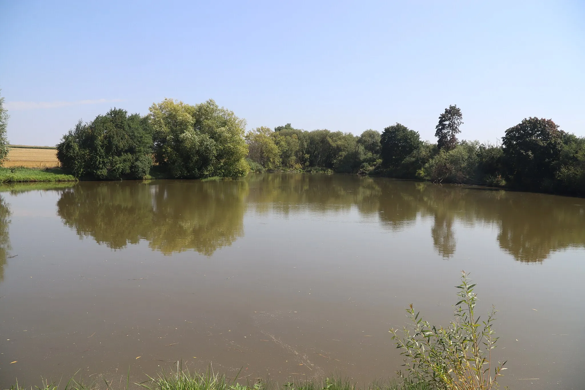 Photo showing: Overview of pond Příložanský rybník near Příložany, Jaroměřice nad Rokytnou, Třebíč District.