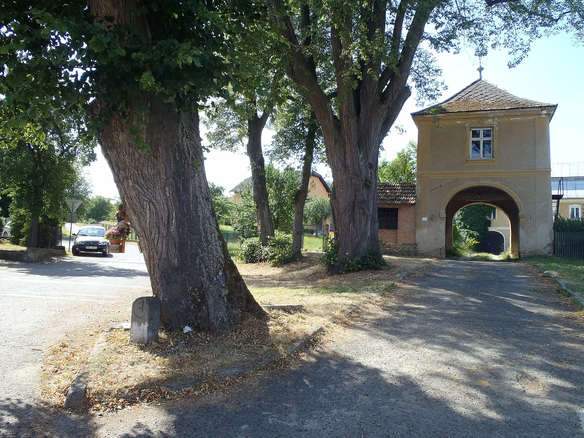 Photo showing: Trees in front of Troyerstein gate, Rychtářov - veteran small-leaved limes.