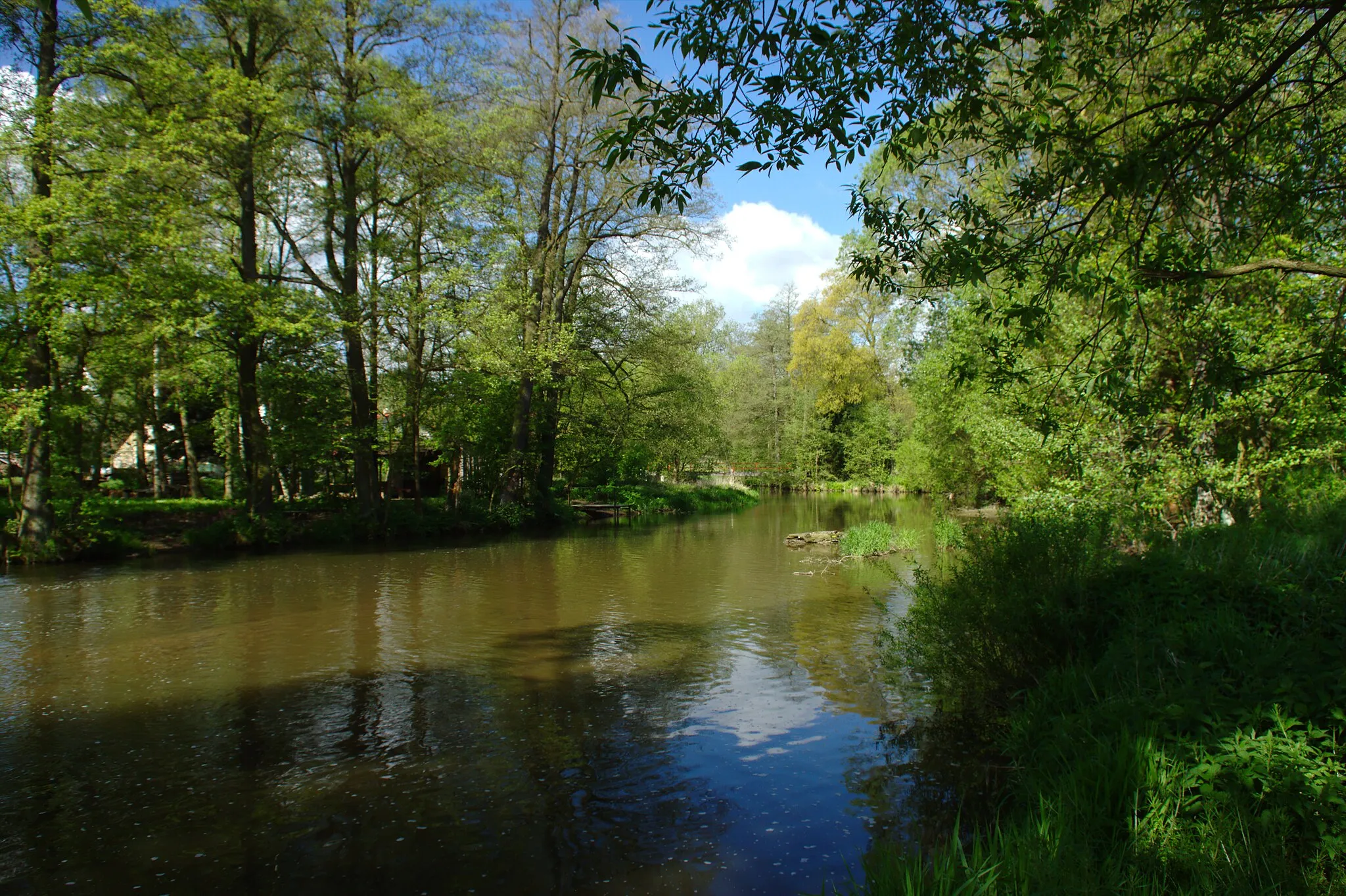 Photo showing: Sázava River in Přibyslav-Poříčí, Vysočina Region, CZ