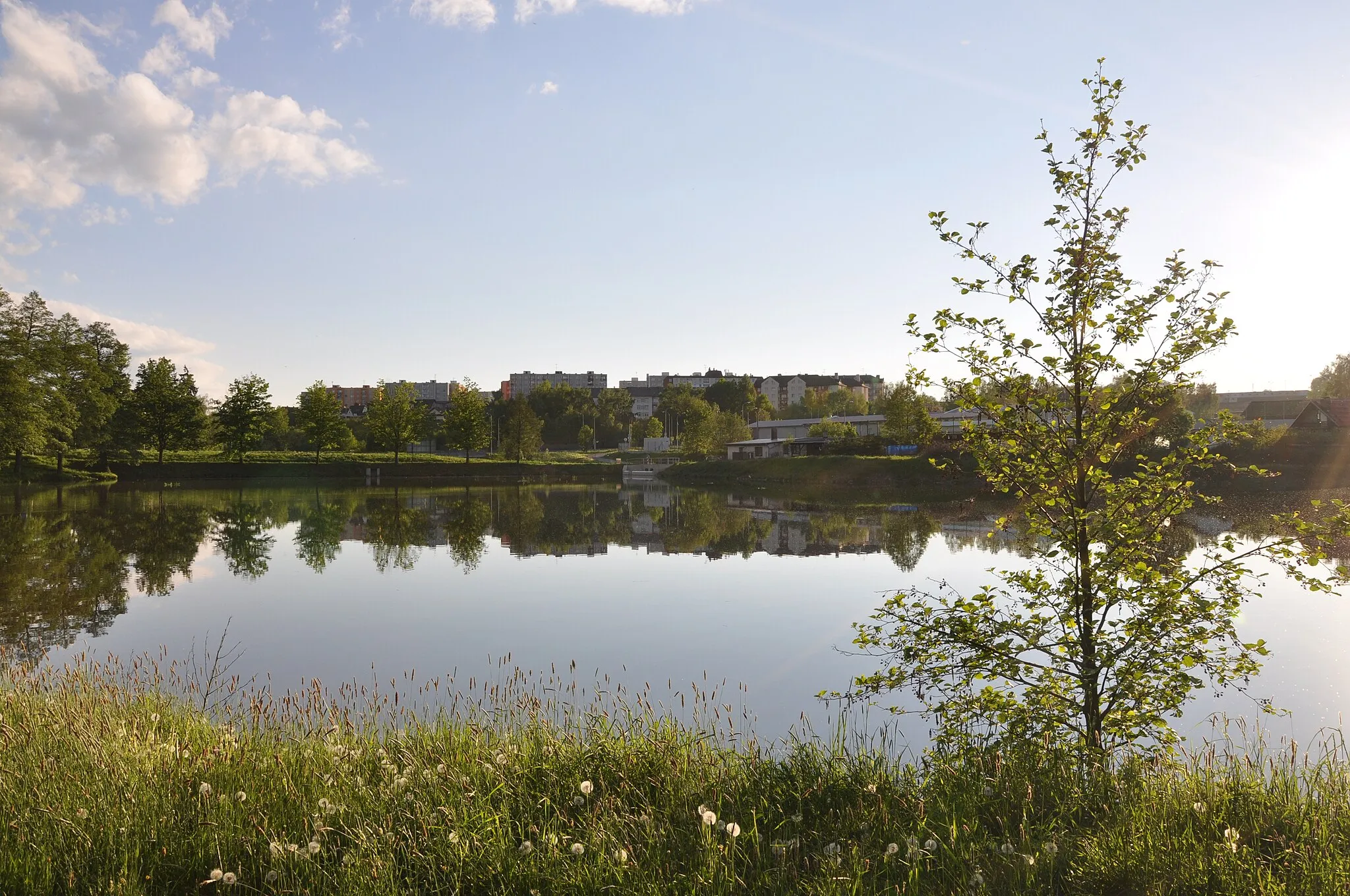 Photo showing: Cihlářský rybník. Patří do řady rybníků v Naturparku Vlkovsko.Sídliště Výšina v pozadí. Ulice U Vlkovska. Havlíčkův Brod. Kraj Vysočina. Czech Republic.