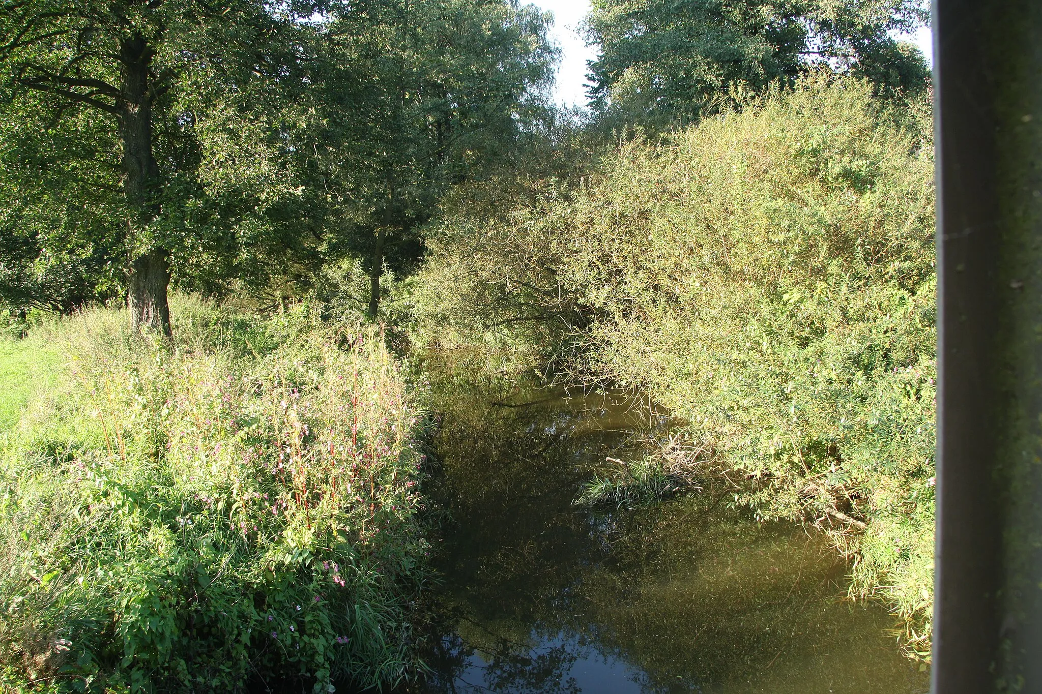 Photo showing: Bobrovka in Olešínky, Zvole, Žďár nad Sázavou District.