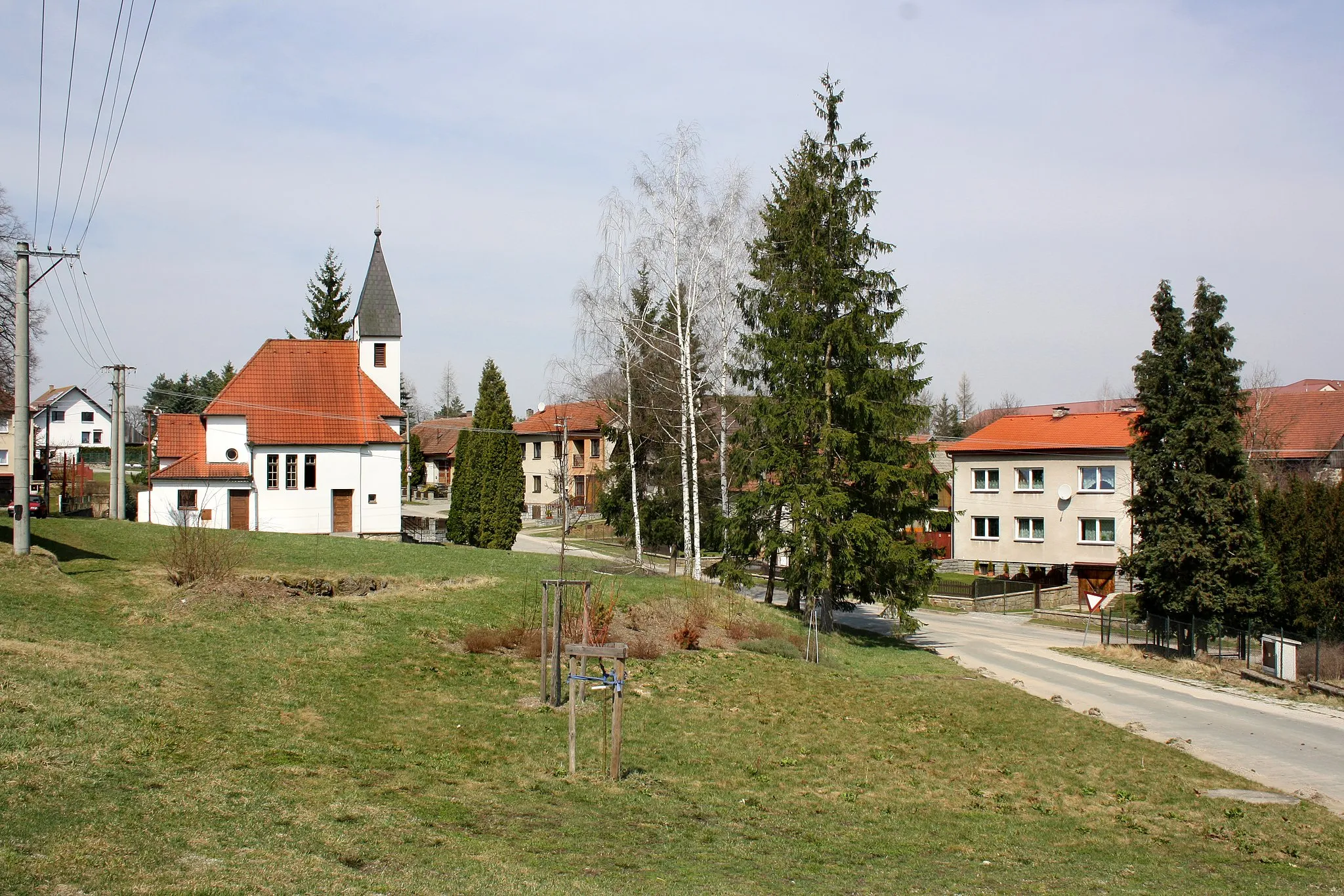 Photo showing: Common in Hrbov, part of Velké Meziříčí