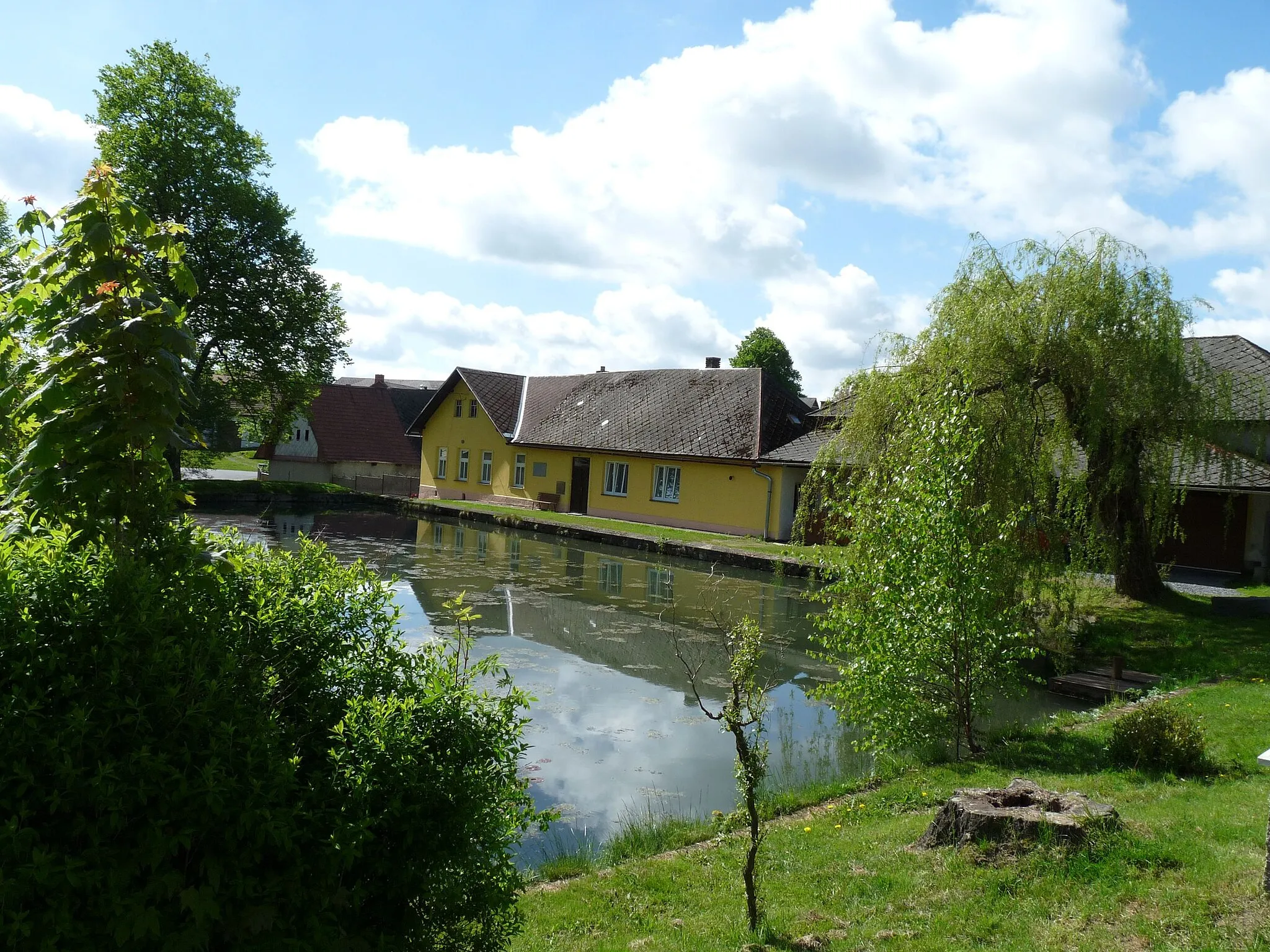 Photo showing: Pond in the village of Vepřová, Žďár nad Sázavou District, Vysočina Region, Czech Republic.
