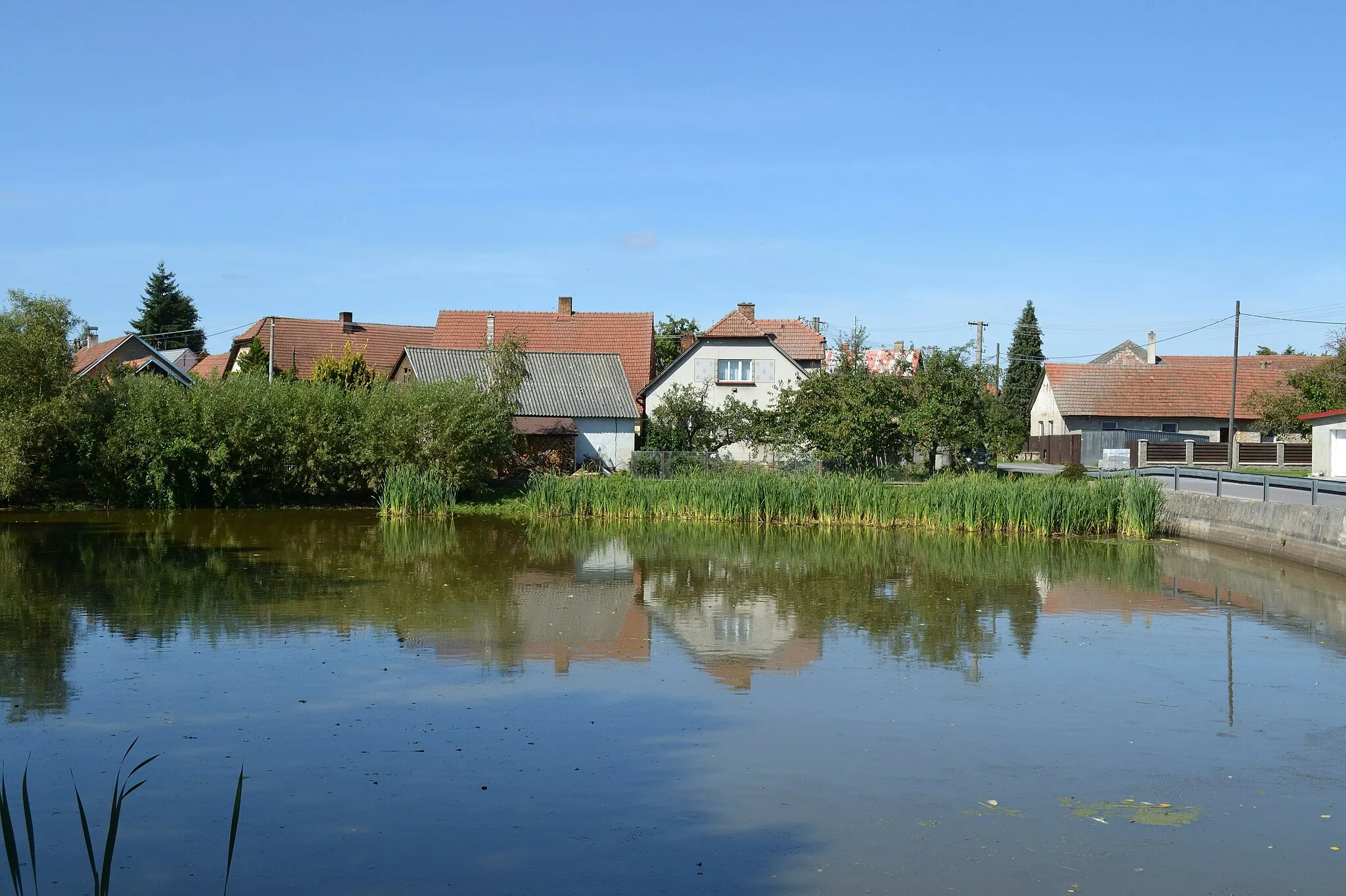 Photo showing: Radenice - rybník ve V části