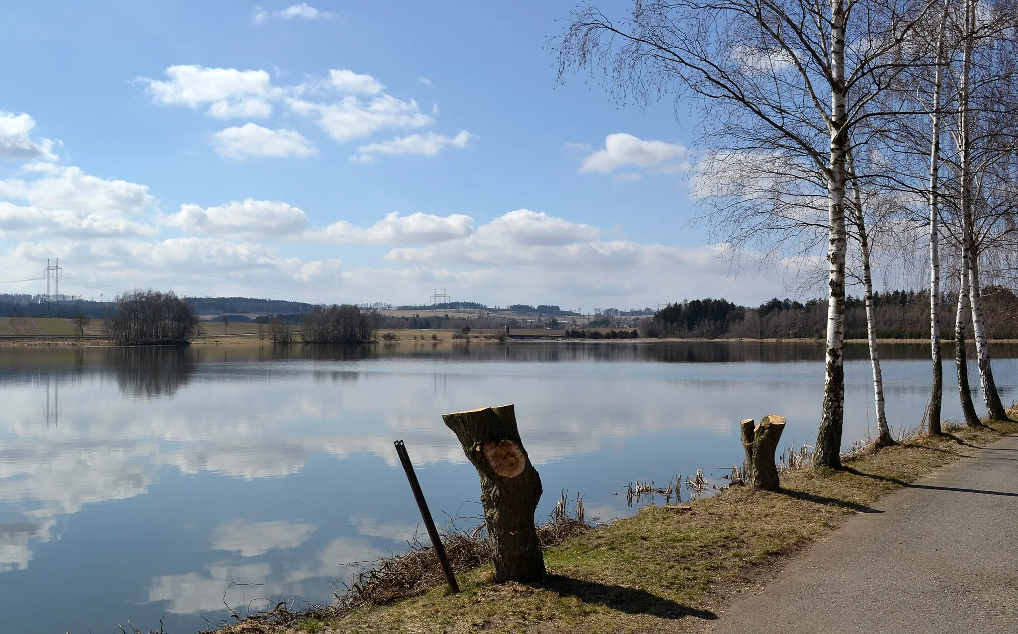 Photo showing: Bohdalov - Záhumenní rybník