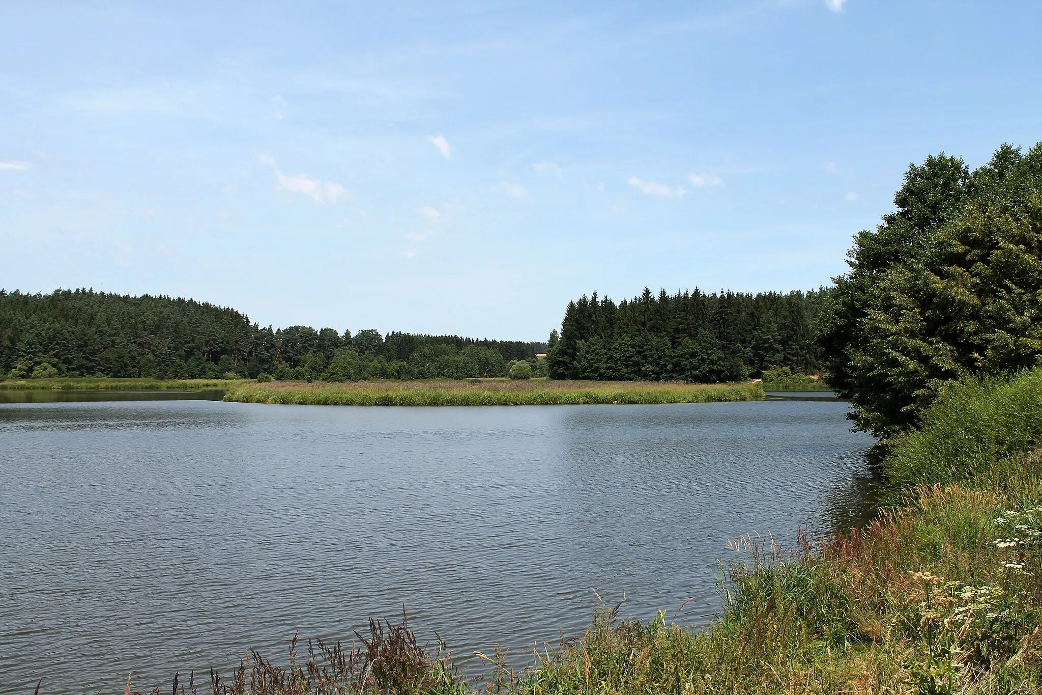 Photo showing: Černič pond, a part of Černíč natural monument, Černíč, Jihlava District, Czech Republic