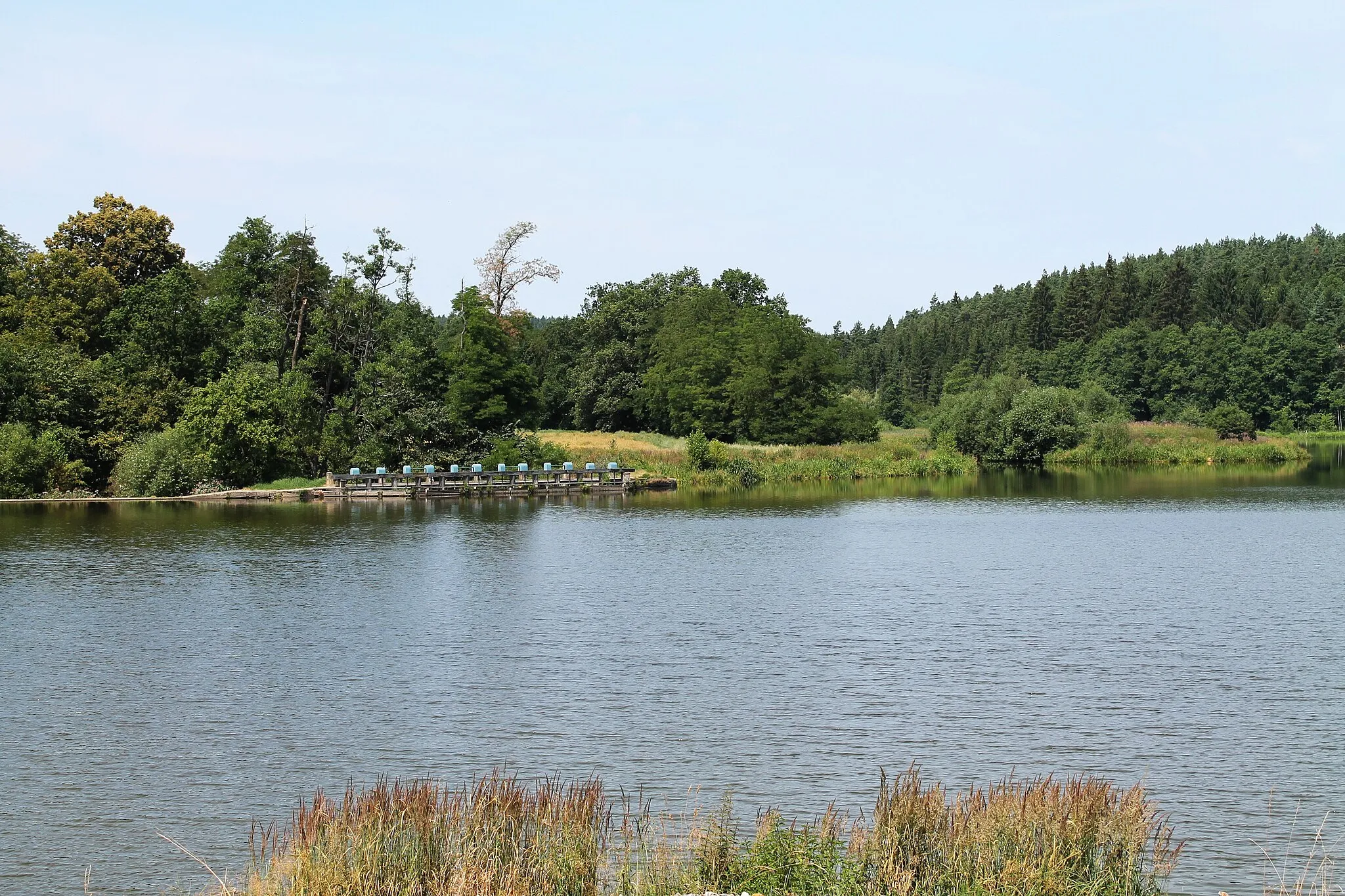 Photo showing: Černič pond, a part of Černíč natural monument, Černíč, Jihlava District, Czech Republic